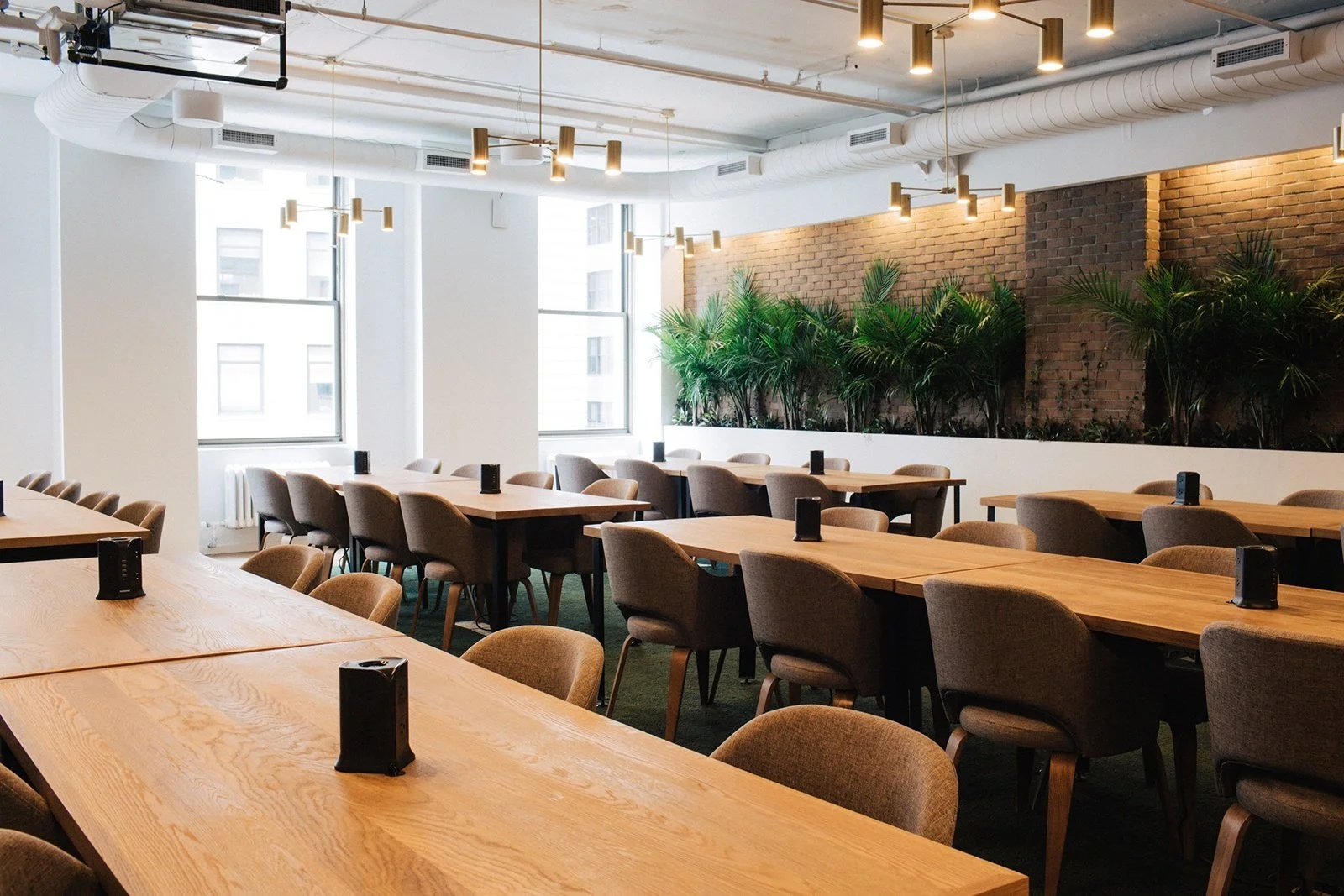Empty conference room with wooden tables, brown upholstered chairs, green plants along a brick wall, large windows, and modern lighting fixtures.