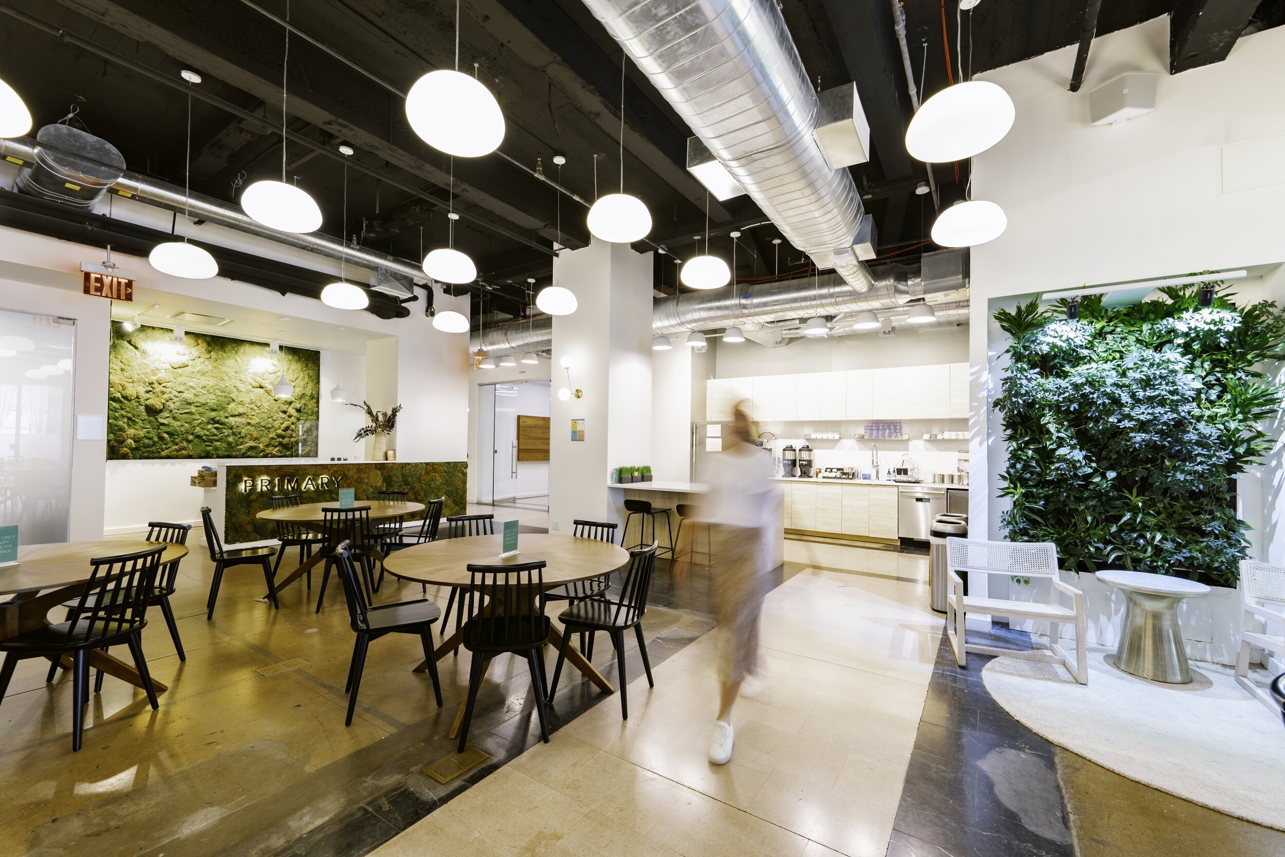 Modern cafe or coffee shop with round tables and black chairs, a coffee counter in the background, and a large green wall plant. Bright lighting and an open, airy atmosphere.