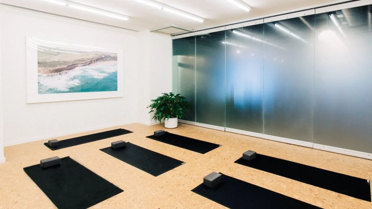 Six black yoga mats with grey blocks on them arranged in two rows on a beige floor in a fitness studio with a potted plant, a picture of ocean waves on the wall, and a frosted glass wall in the background.