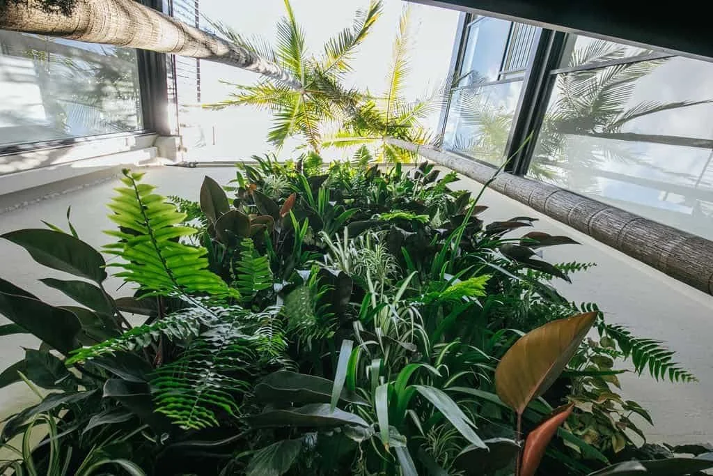 BioActive Green Walls Architectural Green Wall Systems