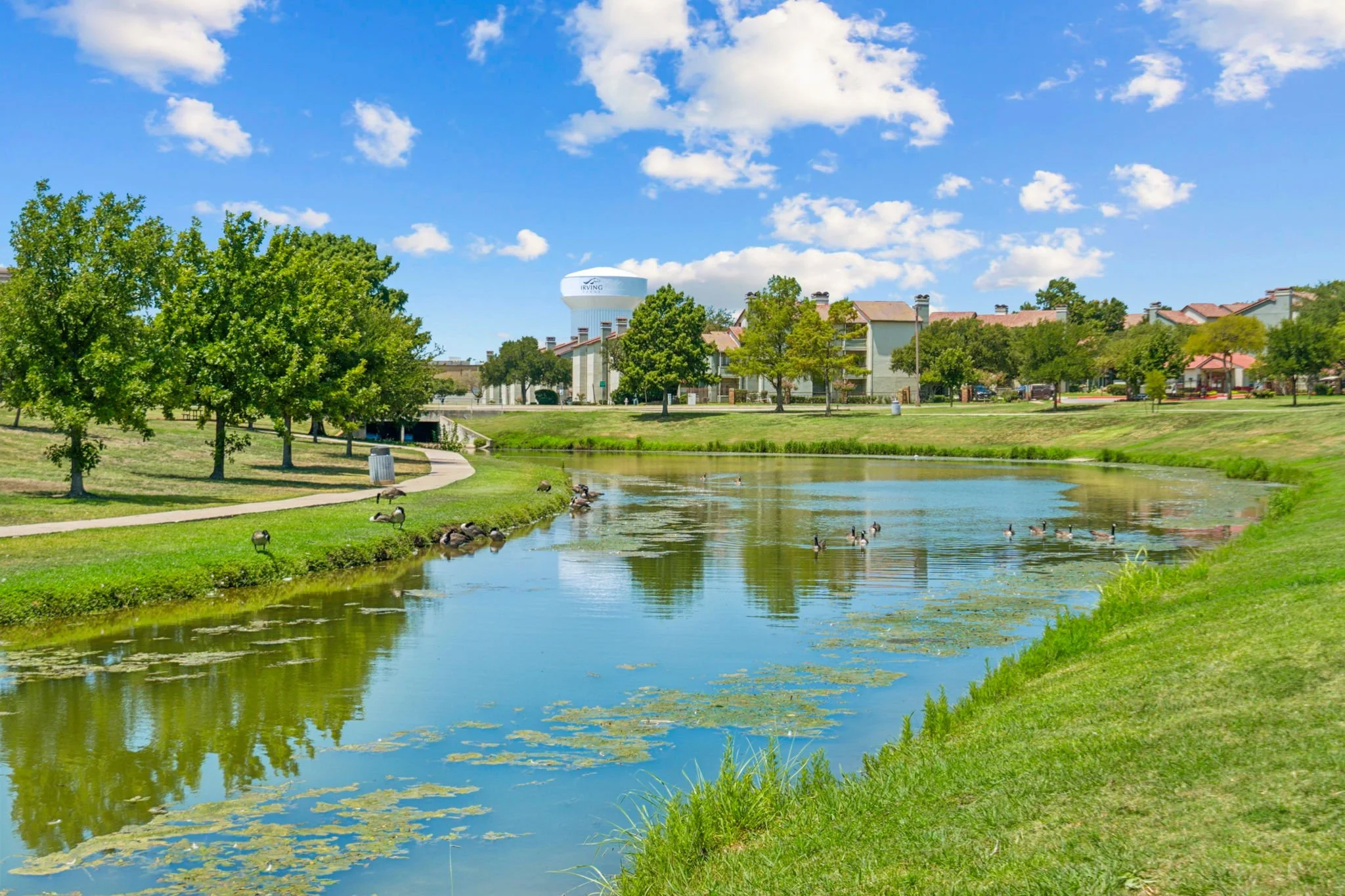 32-web-or-mls-1290 Hidden Ridge-32.jpg