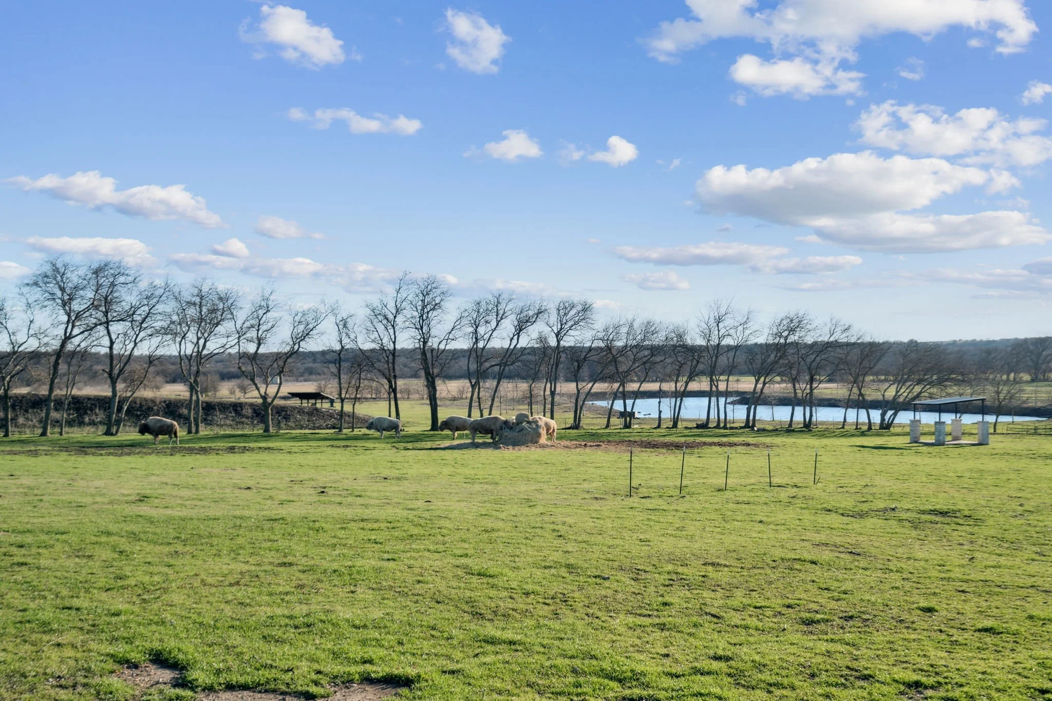 67-web-or-mls-5950 Western Star Dr 67.jpg