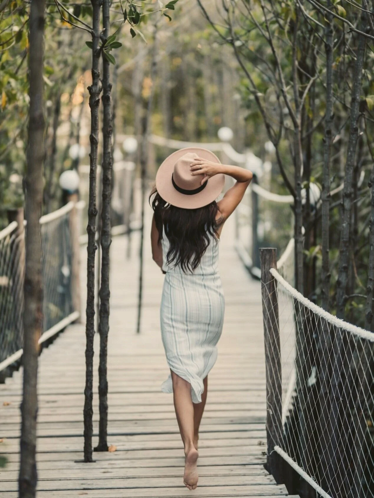Whimsical Journeys
