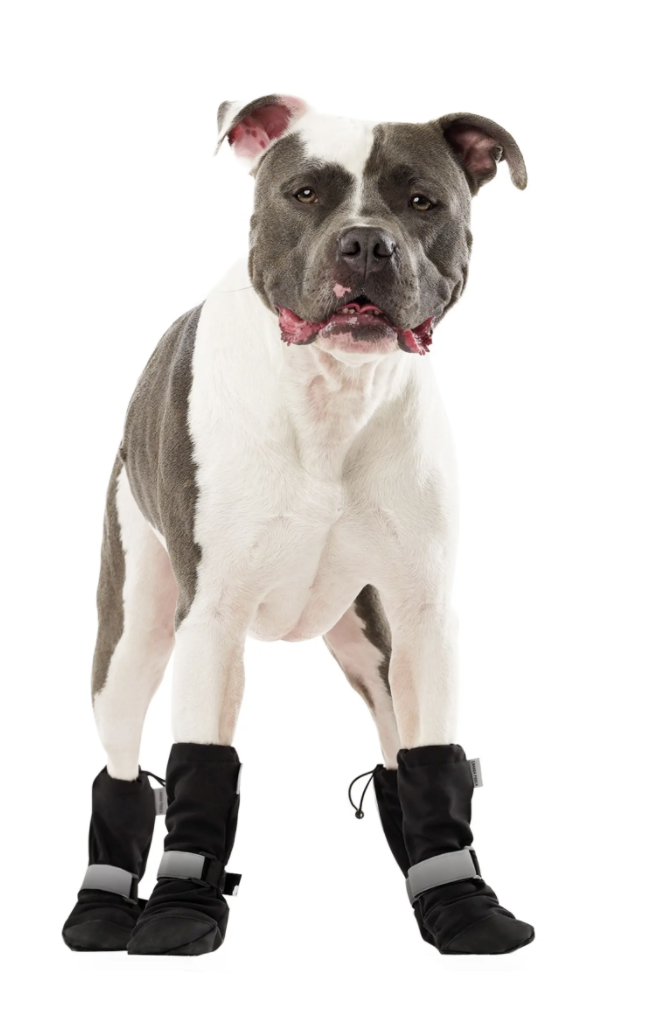 All Weather Neoprene Paw Protector Dog Boots with Reflective Straps in 5