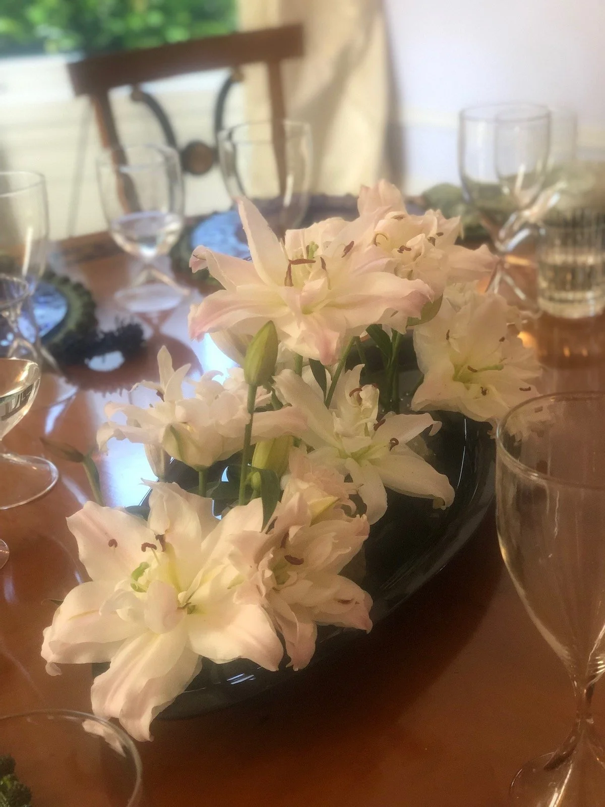 How To Take Care Of Your Orchids