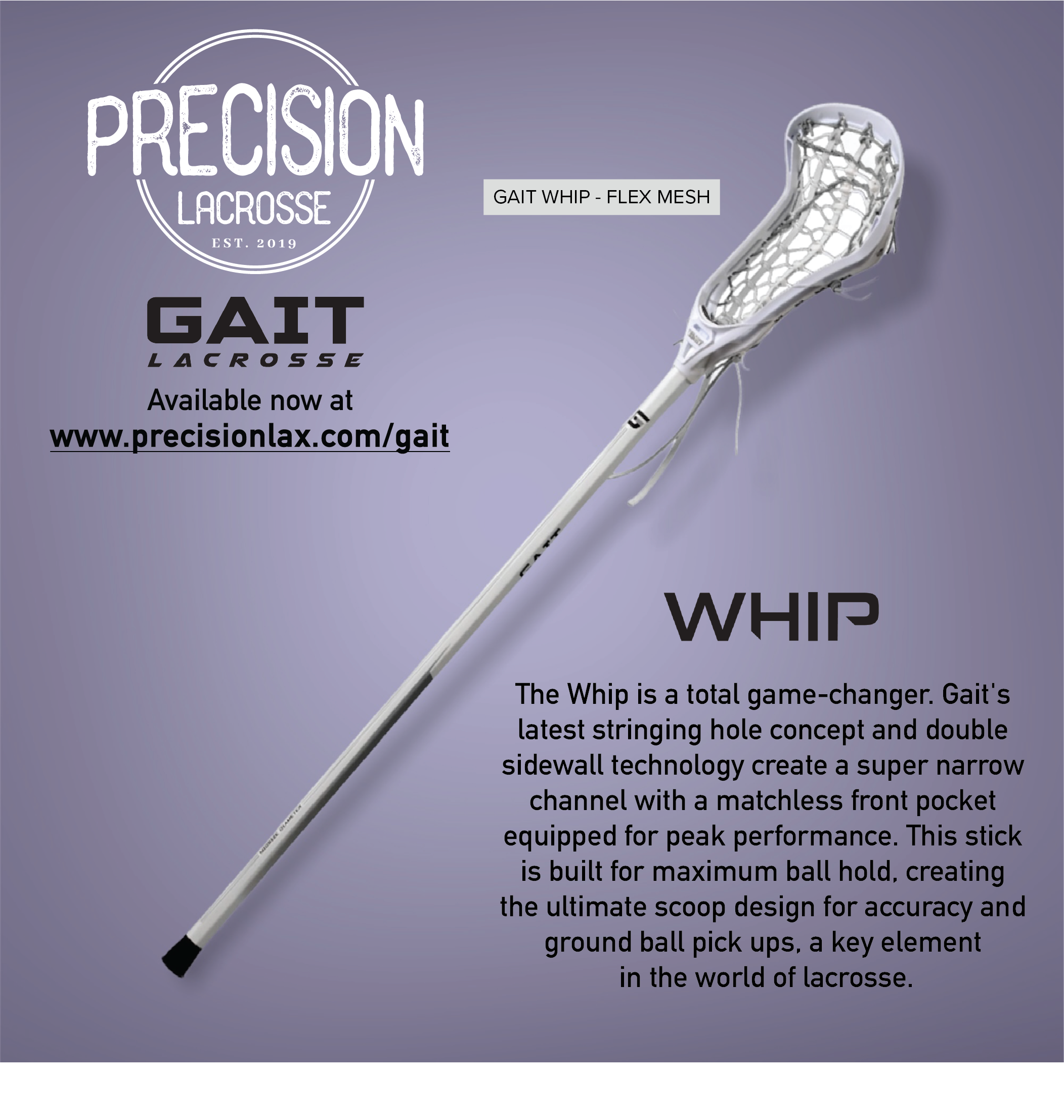 gait whip stick ad-caresmatic website image.png