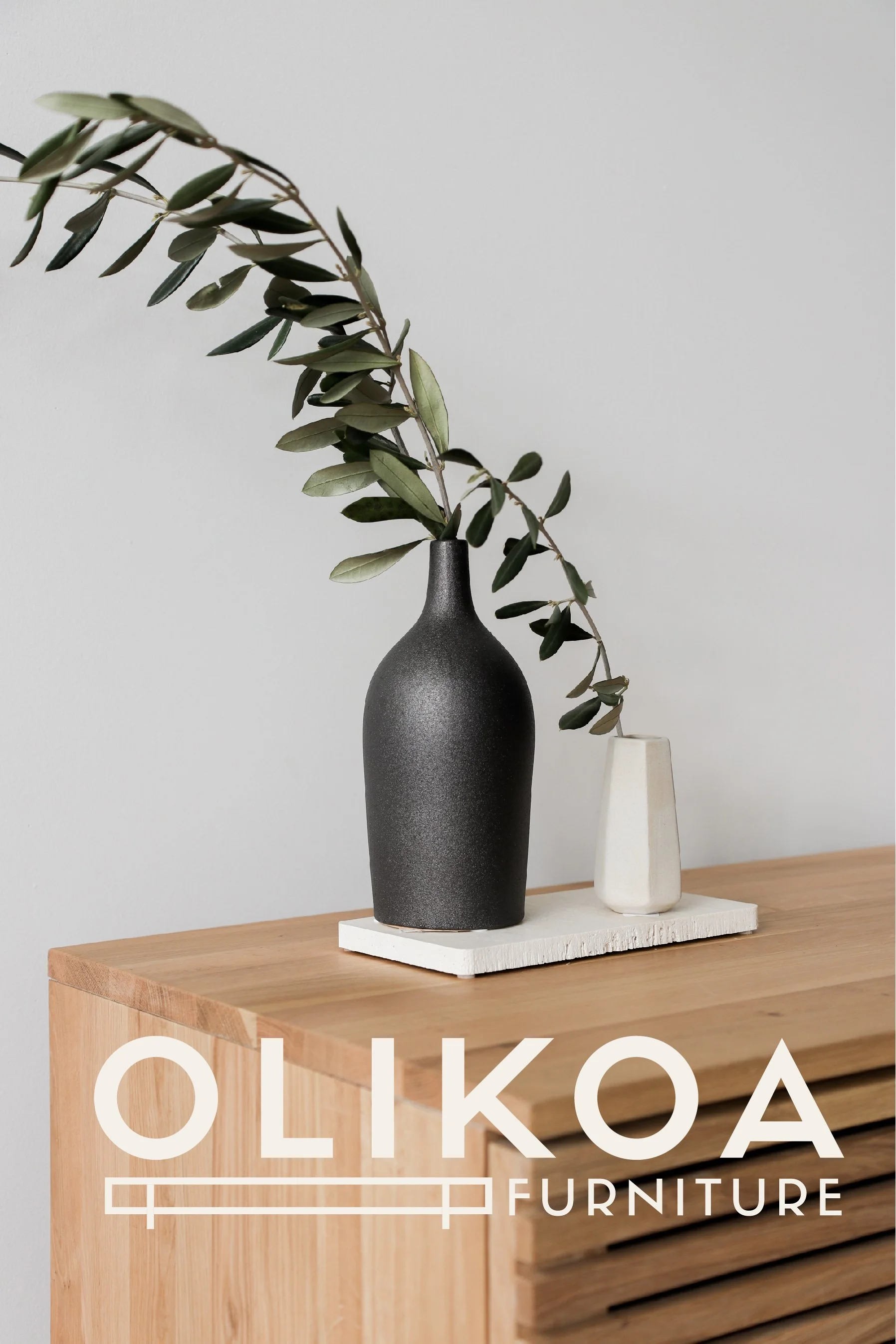 caresmatic website olika logo.jpg