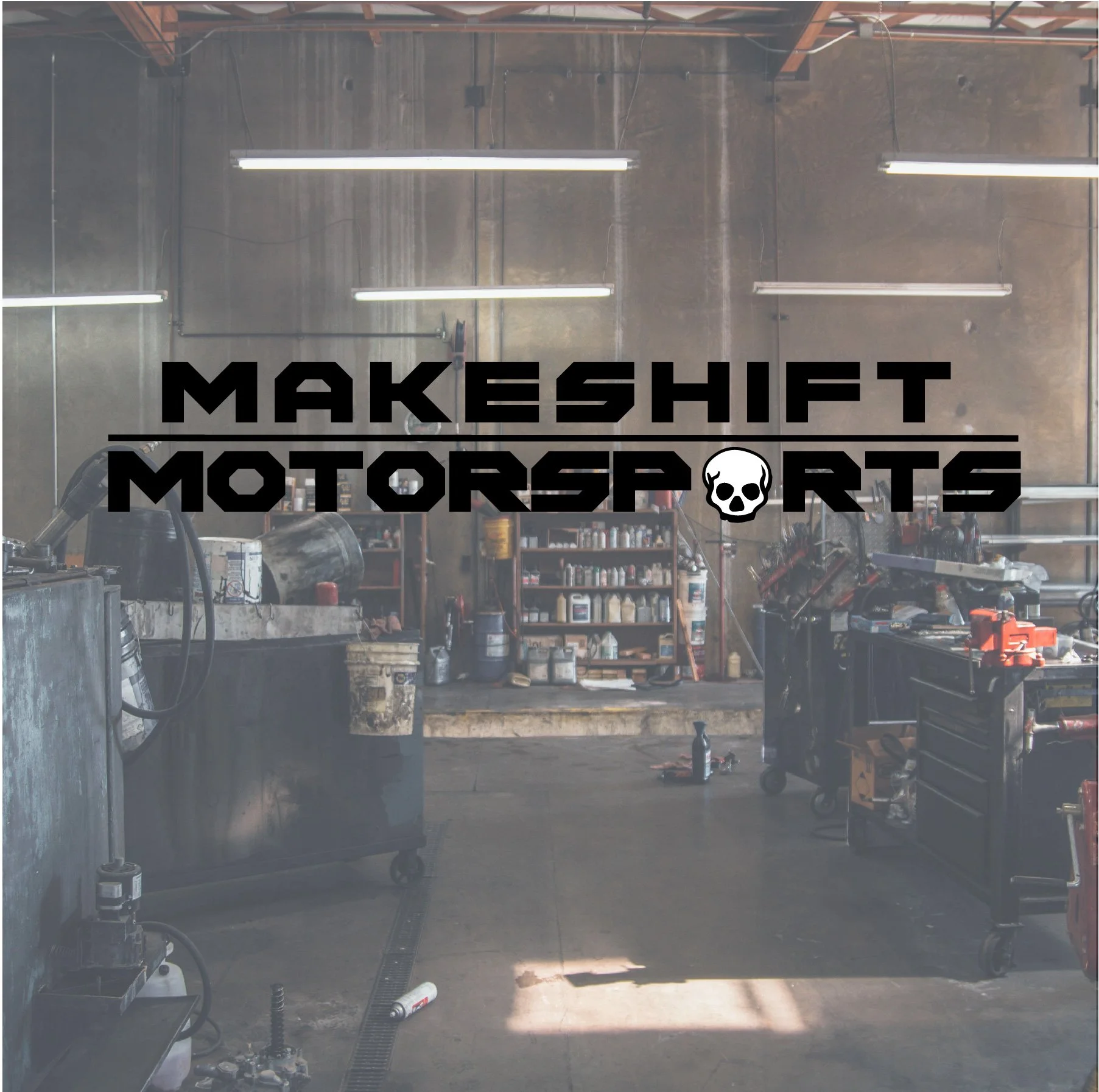 caresmatic website msms logo.jpg