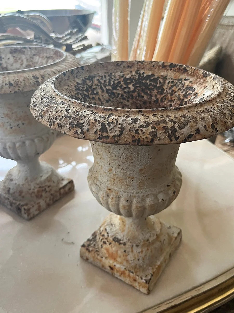 IMG_3154.jpg