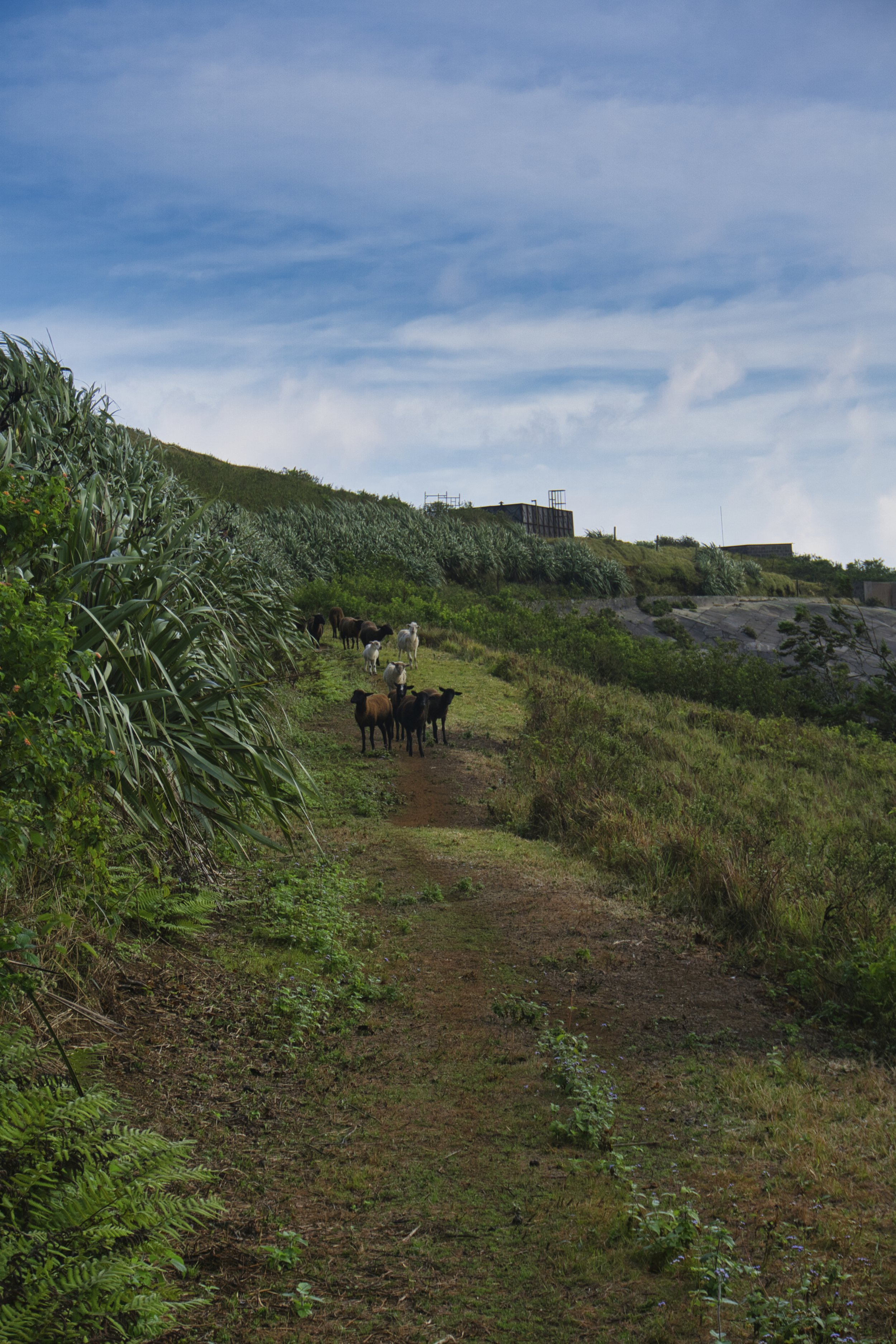 GMountain8-website.jpg