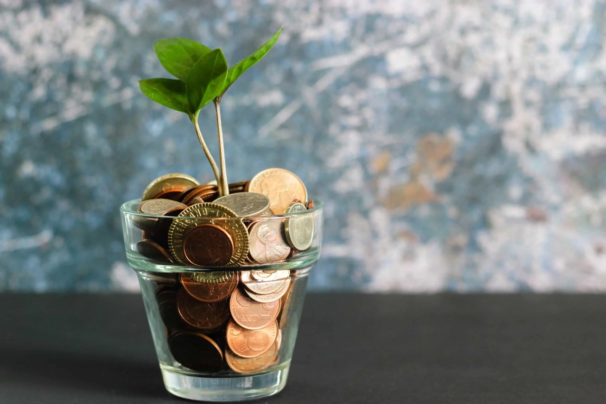 Coins and a growing plant, representing guaranteed retirement income from annuities