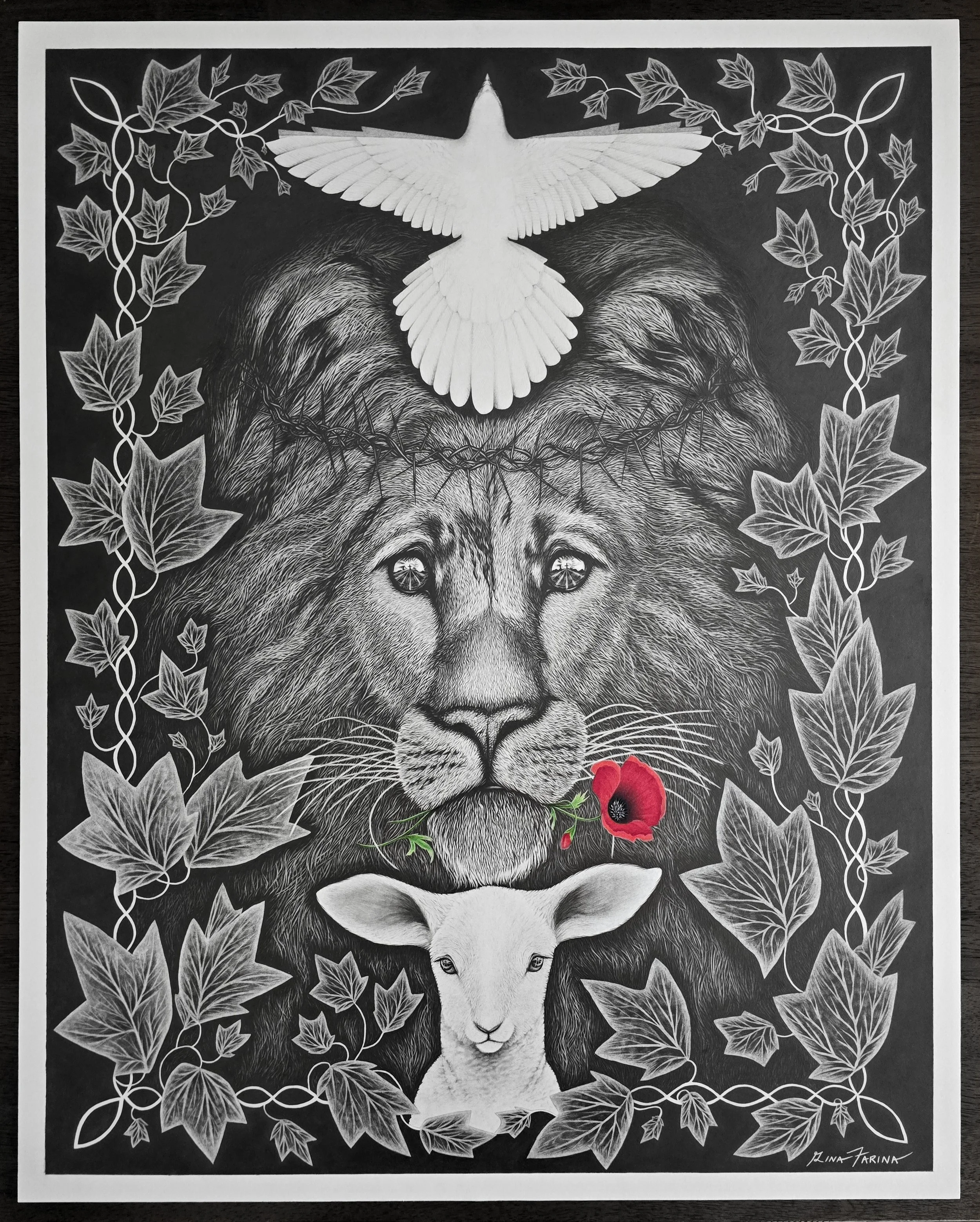 Hero
22 6/8" x 28  4/8"