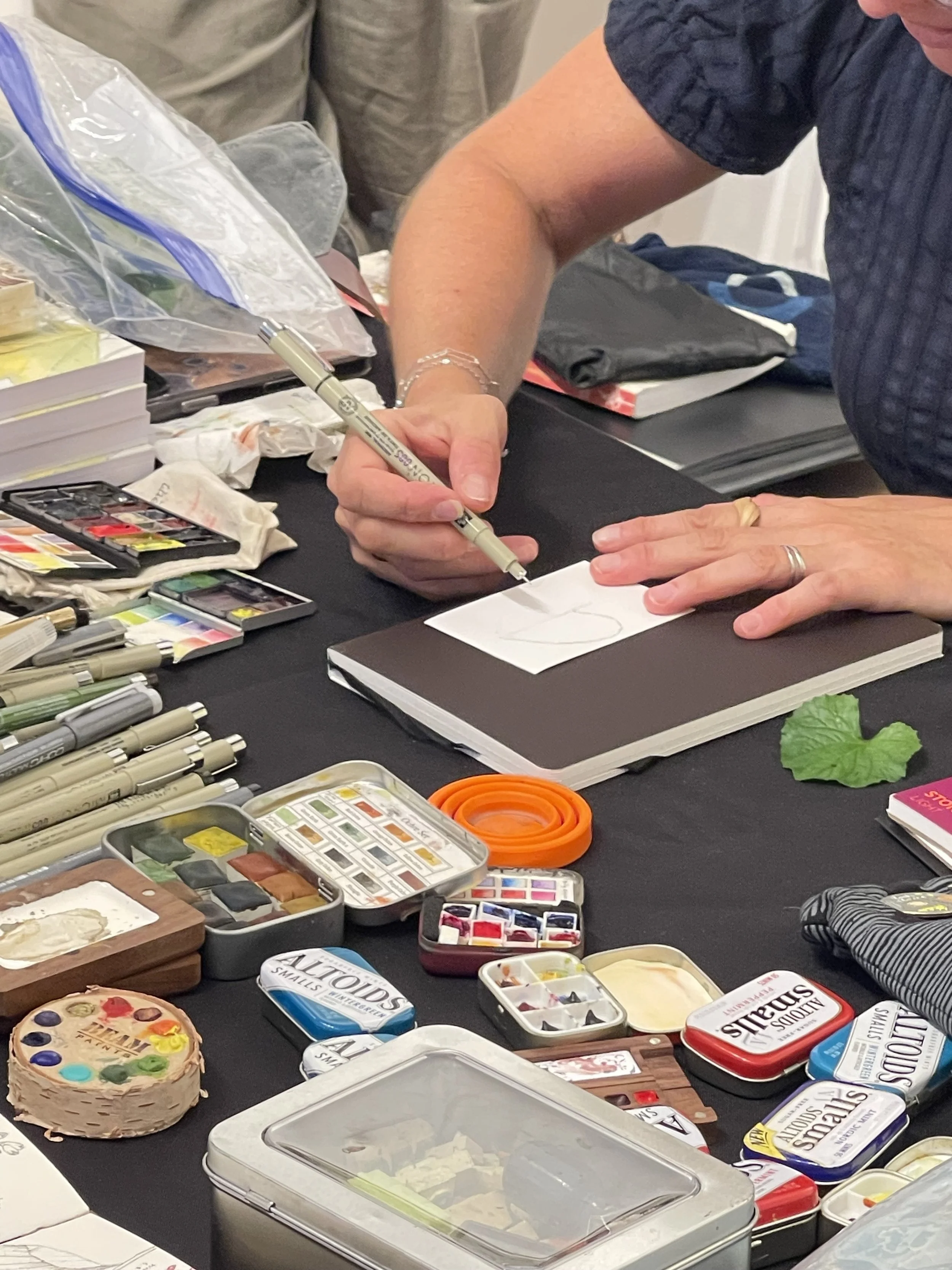 McGuffey Art Center, Botanical Art Festival, Charlottesville VA 9.11.26