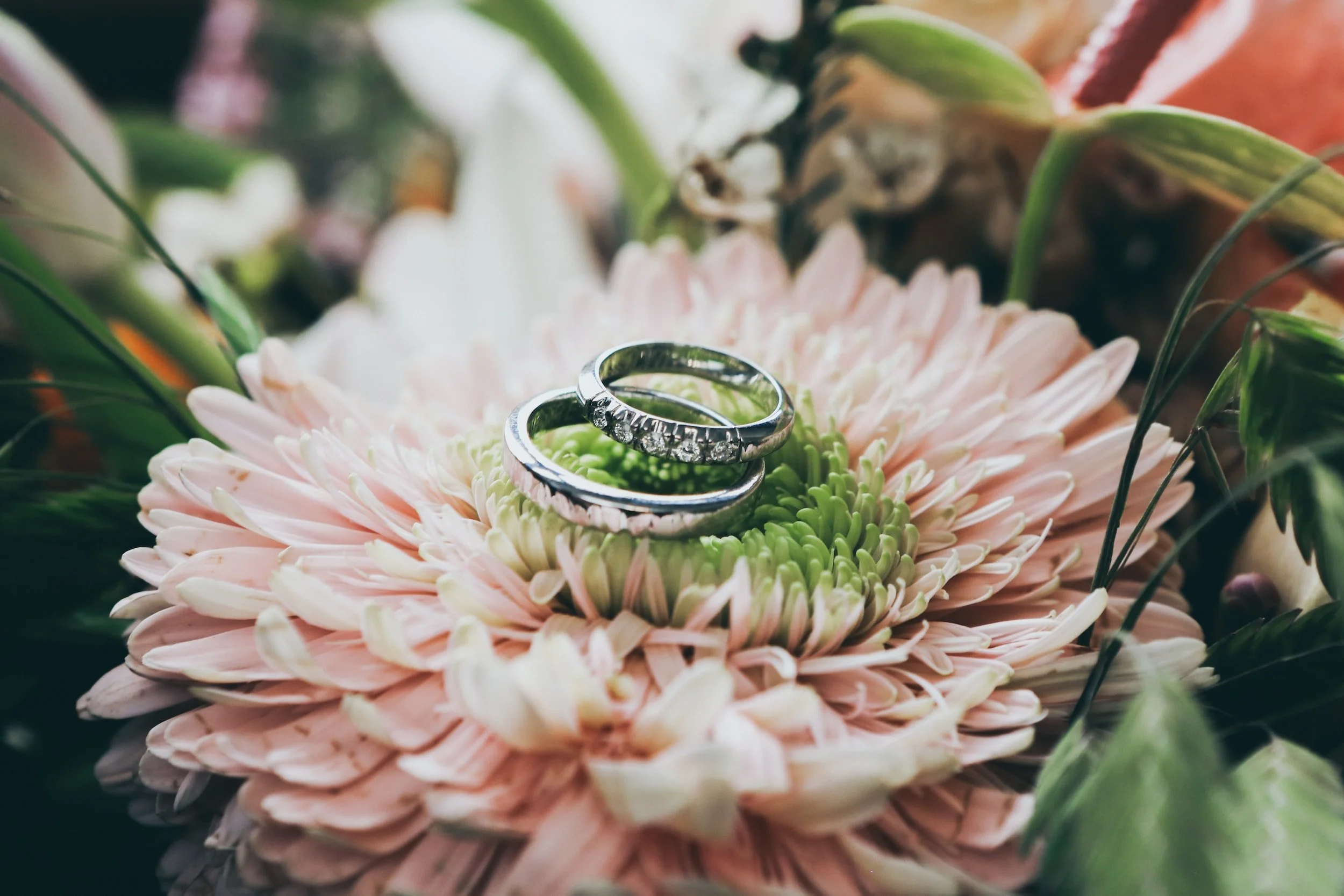 unsplash-image-8WODX7nO2JE.jpg