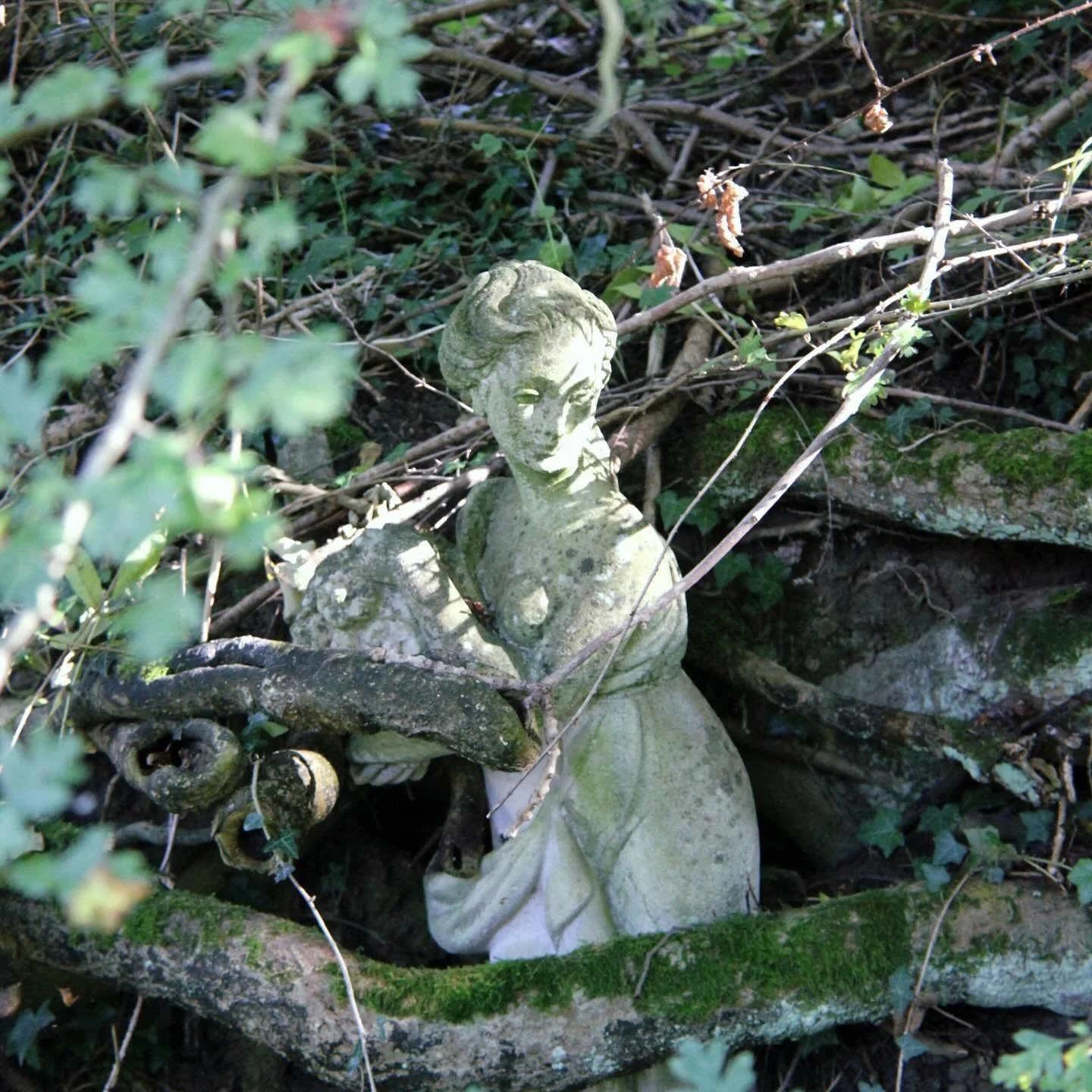 DOULA 🌿
 noun /ˈduːlə/

Definition :
 A non-medical professional who provides holistic support to individuals and their families during significant life events. The term originates from the Greek word meaning &ldquo;woman who serves.&rdquo; In their