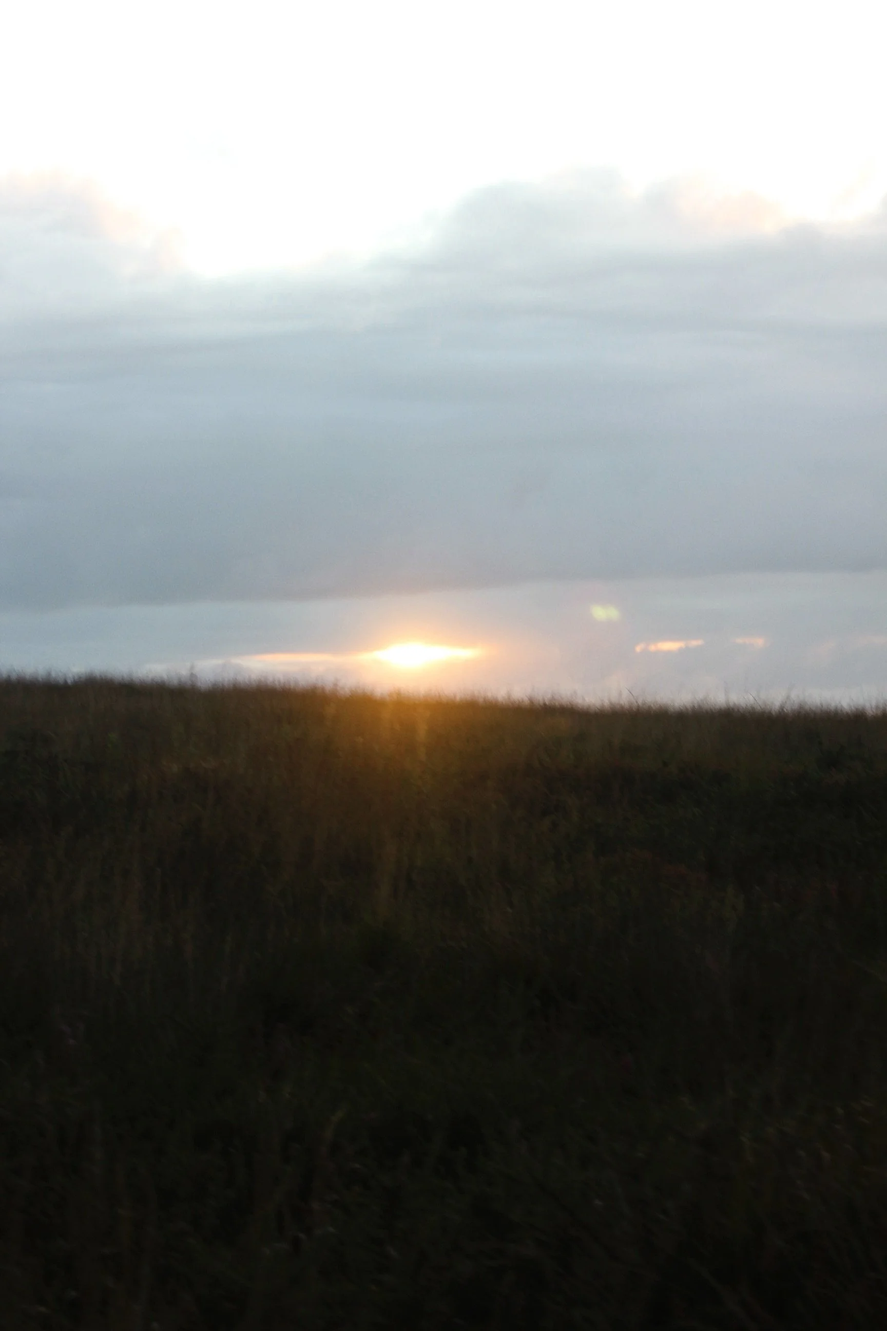 6994860C-A97A-4C1C-8A99-DAB715C25DF0.jpeg