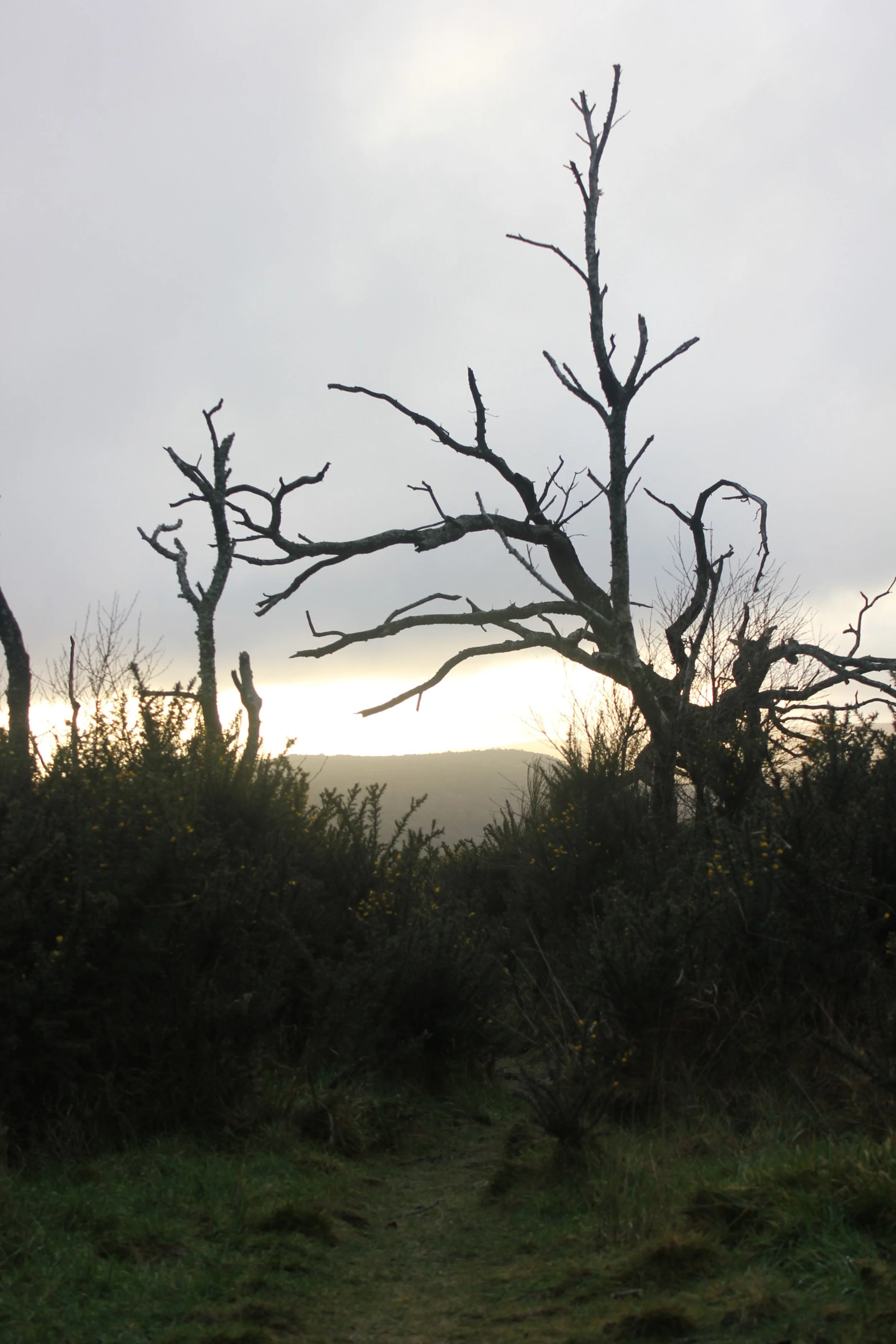 being eroded into our rightful bodies  / Vocation begins with apprenticeship to place / the landscape is a craft shop //