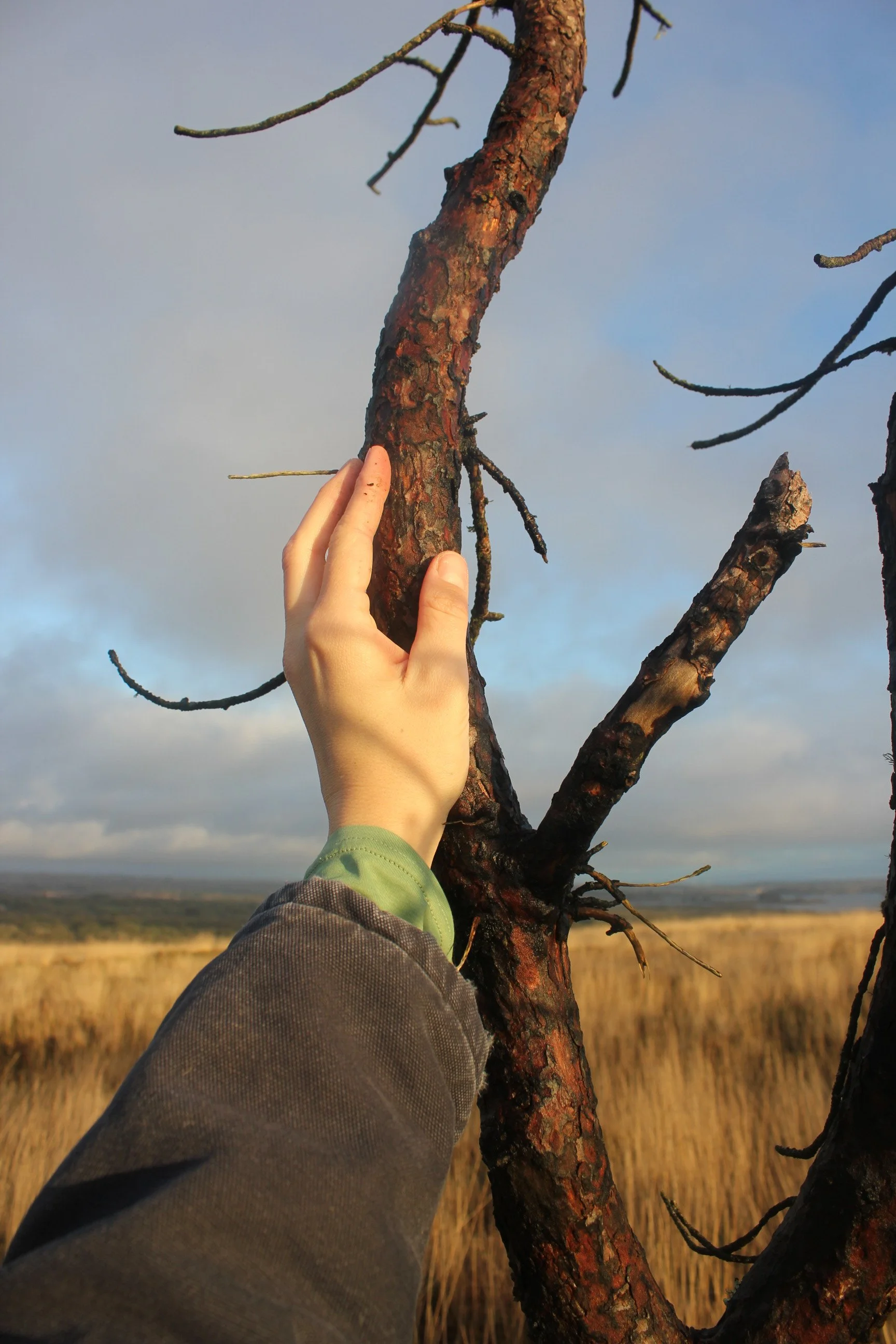 To acknowledge contradiction  as a creative force within the soul / And I say thank you. //