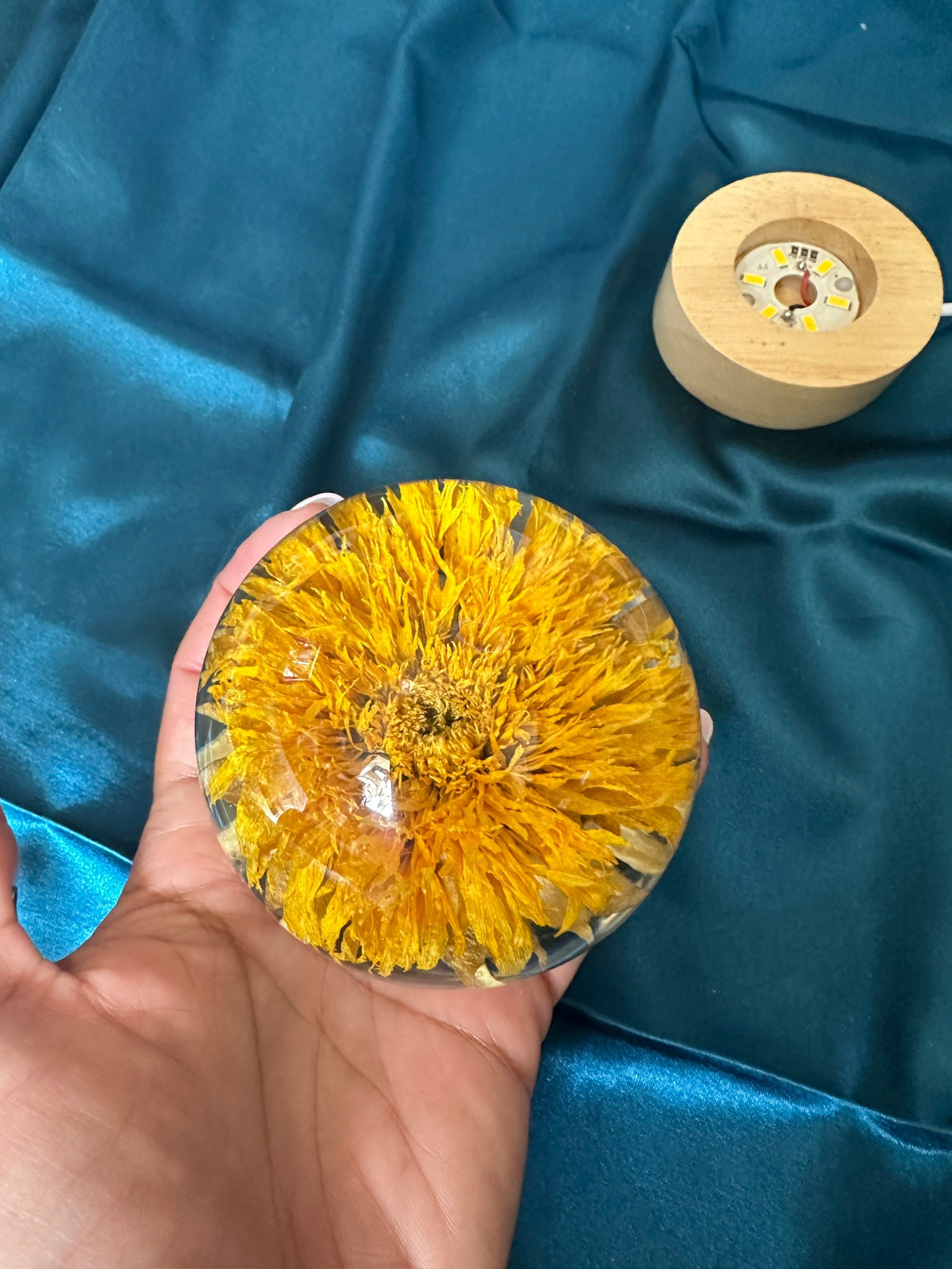 https://i.etsystatic.com/5869377/r/il/5915bb/4939939043/il_fullxfull.4939939043_oxix.jpg