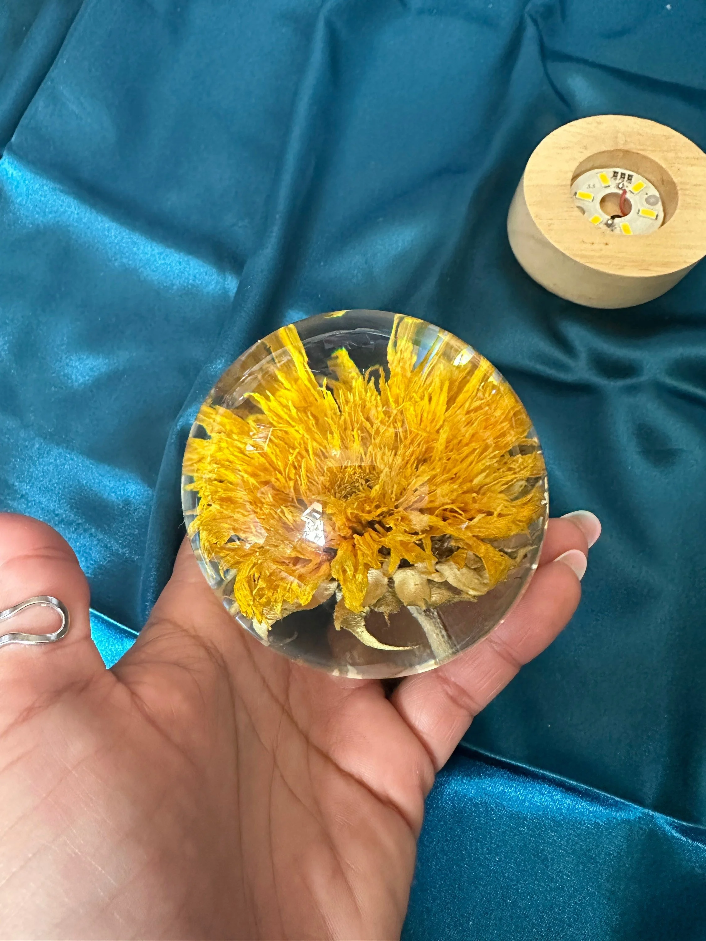 https://i.etsystatic.com/5869377/r/il/27a4c2/4891670820/il_fullxfull.4891670820_6o0d.jpg