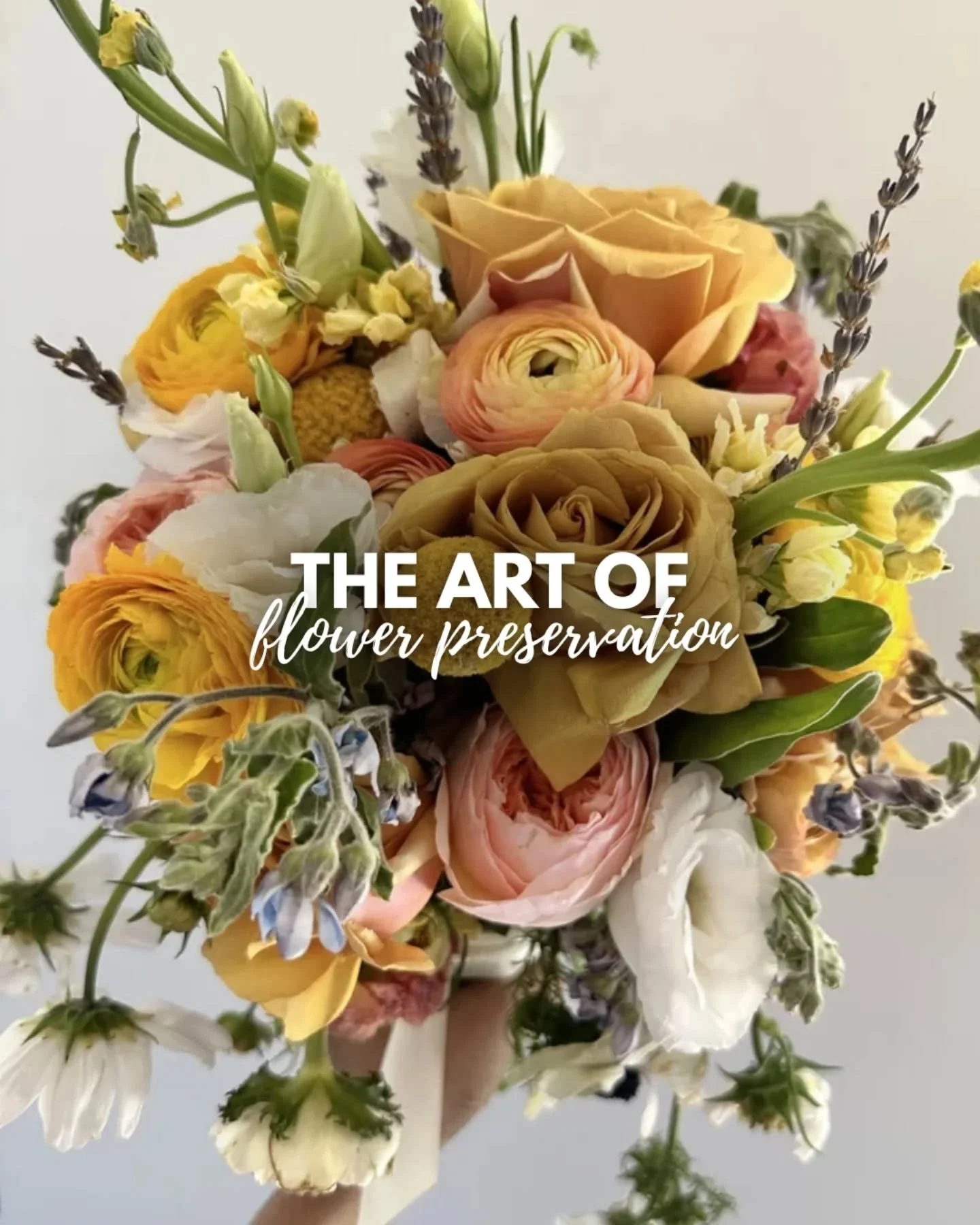 Not throwing it away. Not pressing it in a book.
We&rsquo;re preserving it properly. 🤍

Share this to a bride/friend who would actually want to keep their flowers forever.

#bridalbouquets #flowerpreservation #bouquetpreservation #newmexicowedding #