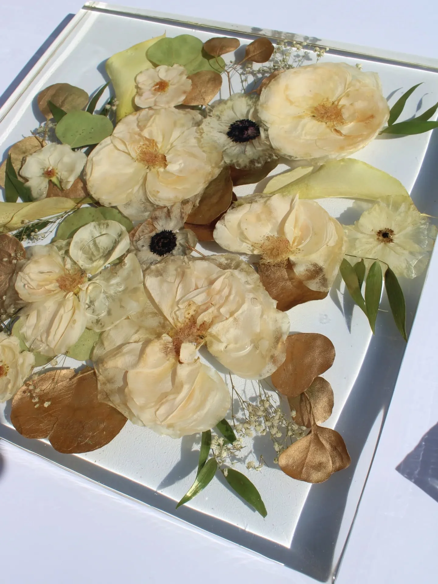 A closer look at this Bryanna's finished keepsake collection. 🫶🏼

Florist: @eliteflower.llc

If you&rsquo;re planning ahead, you can explore all keepsake options in the link in bio.

#flowerpreservation #bouquetpreservation #preservedflower #newmex