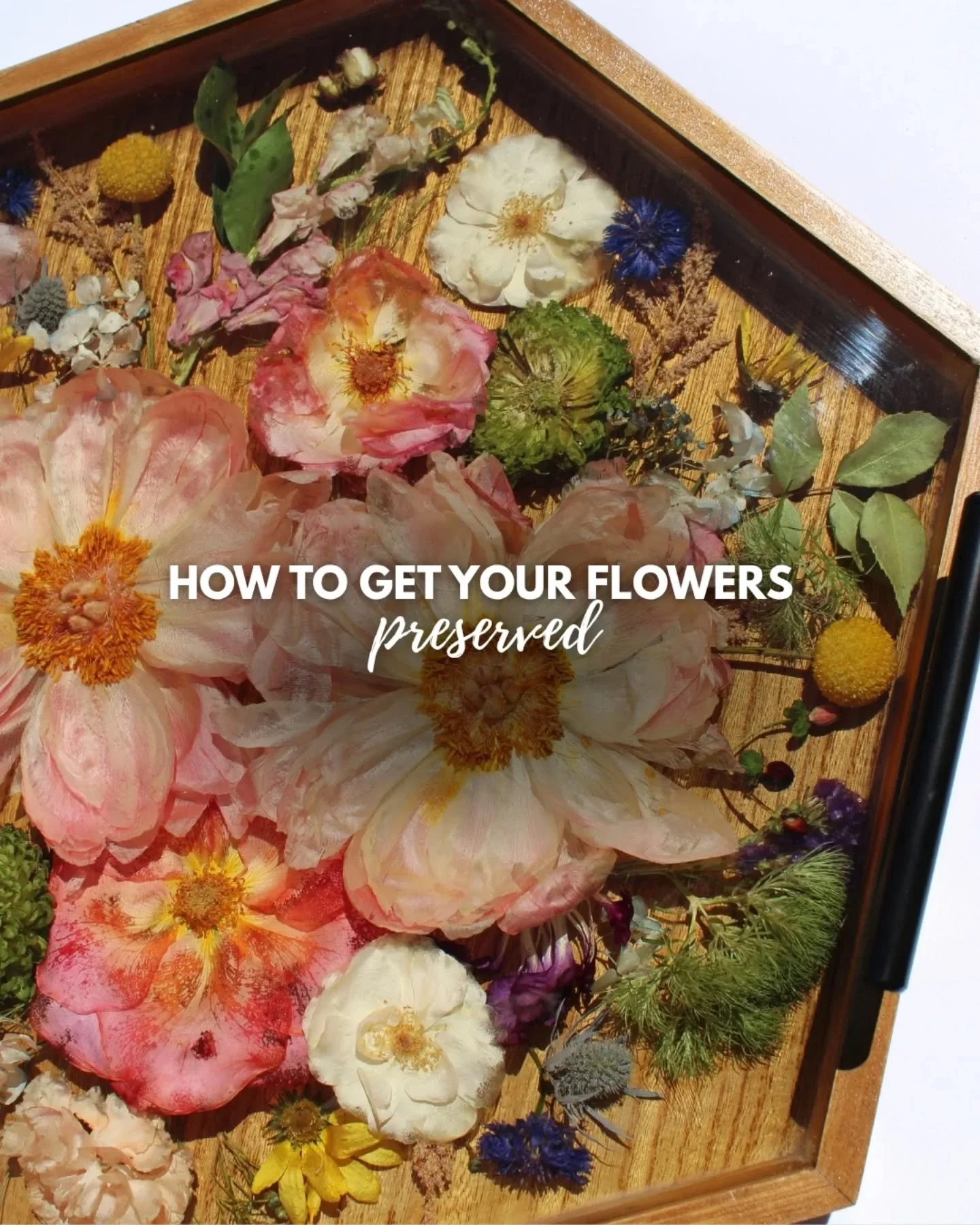 Your flowers deserve a plan before the wedding day.

Because flower preservation slots are limited, the first step is checking if your date is available. From there, Maha will guide you through the consultation, deposit, forms, flower care instructio