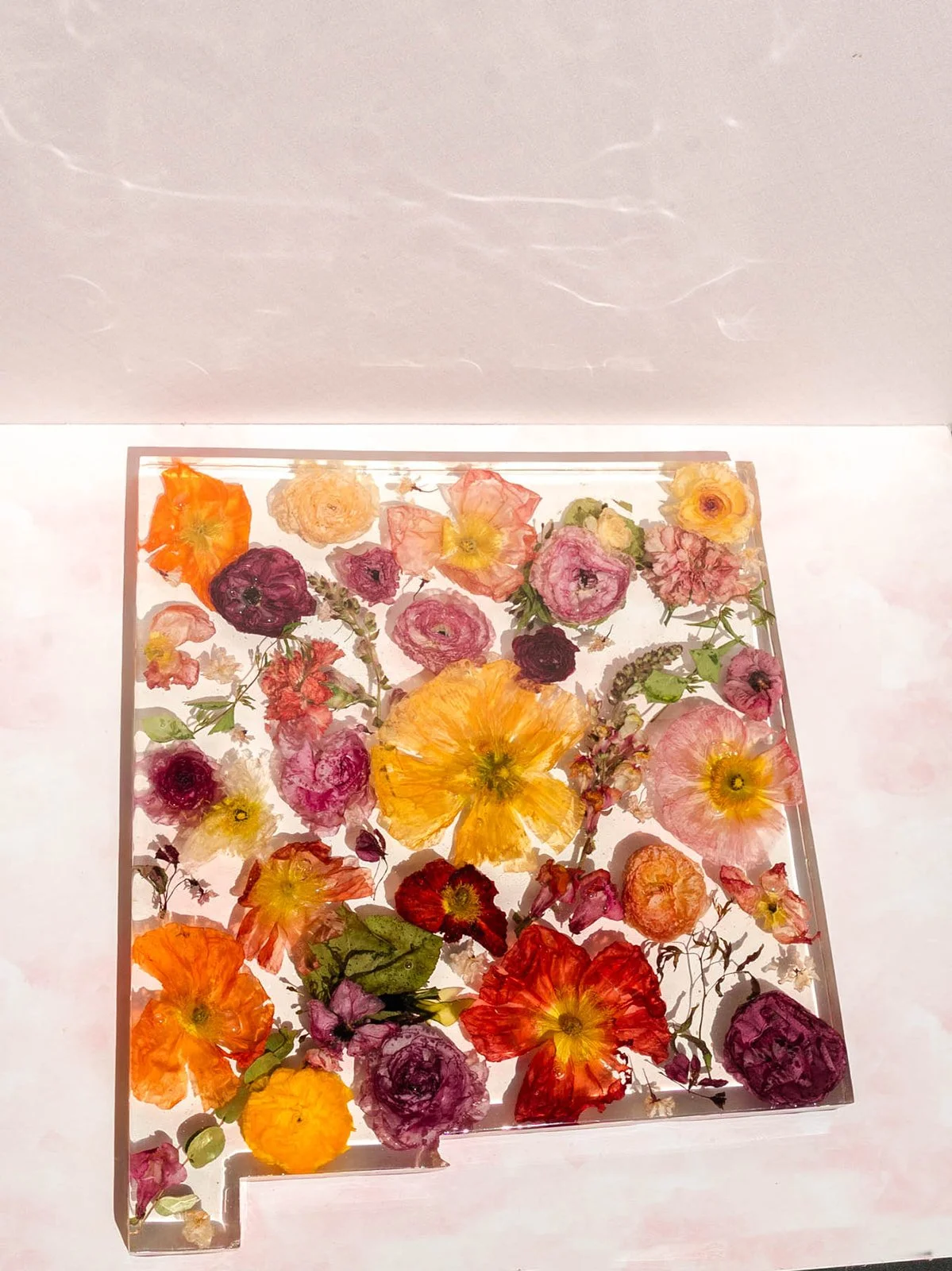 A square glass display case containing various pressed colorful flowers arranged decoratively.