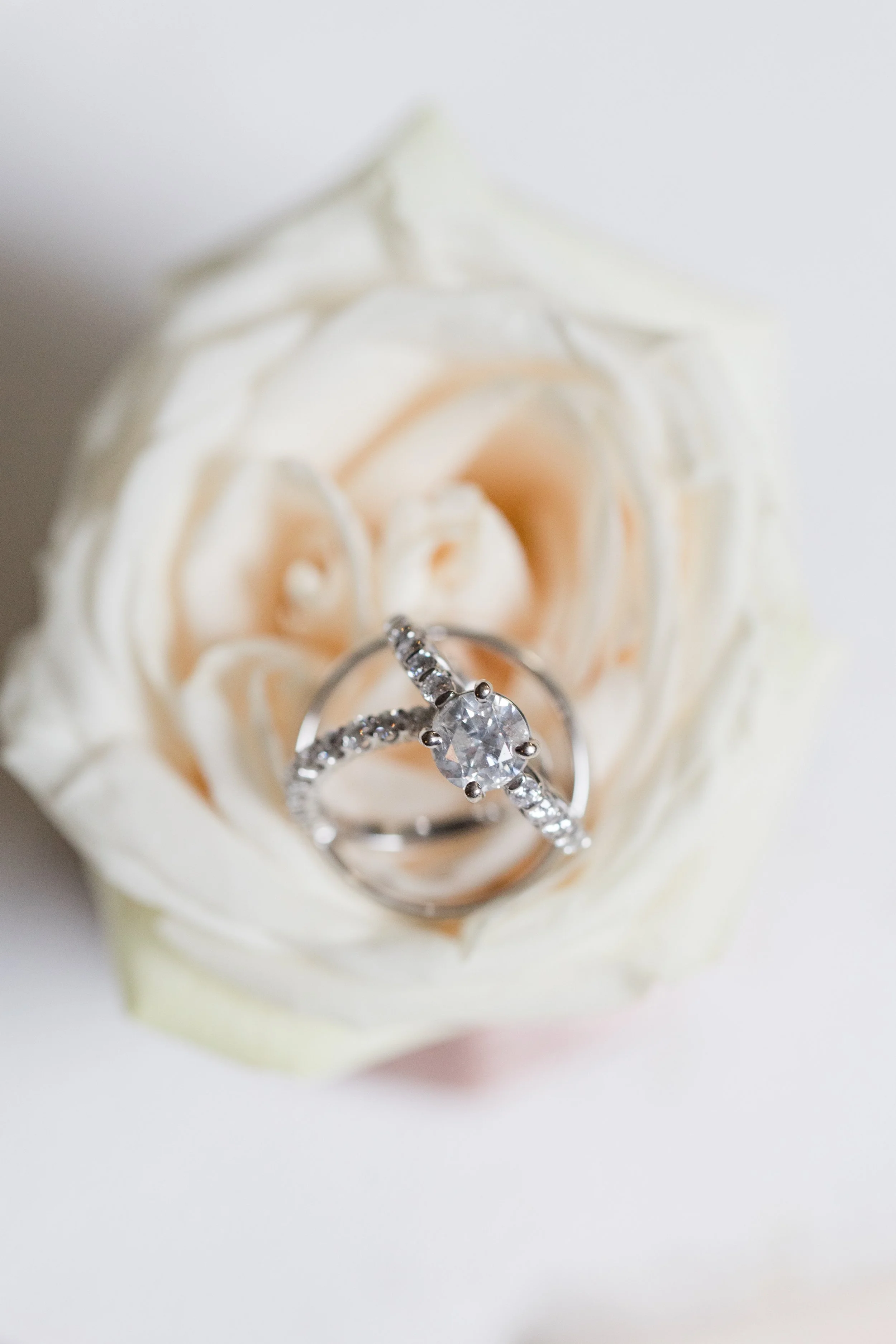 Rings on white rose details photo by NJ wedding photographer Jessica Anne Photography