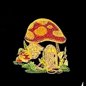 Fairy mushroom house