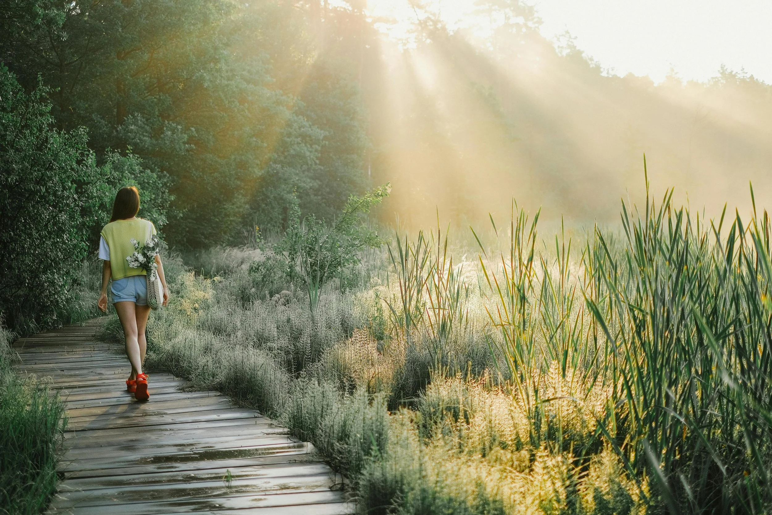 Rooted in Relief: Why Your Nervous System Needs Nature-Based Therapy