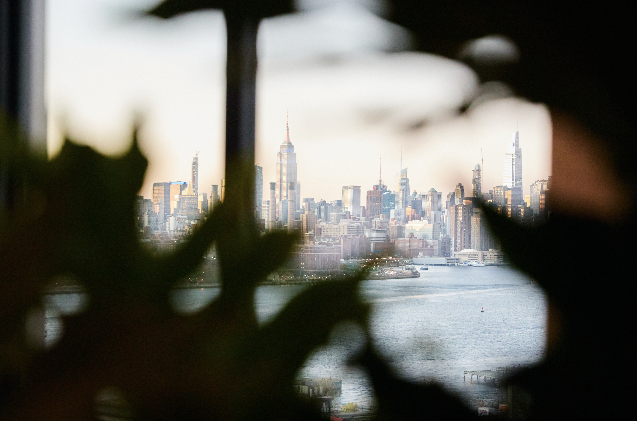 Screen Shot 2026-01-29 at 13.23.50.png