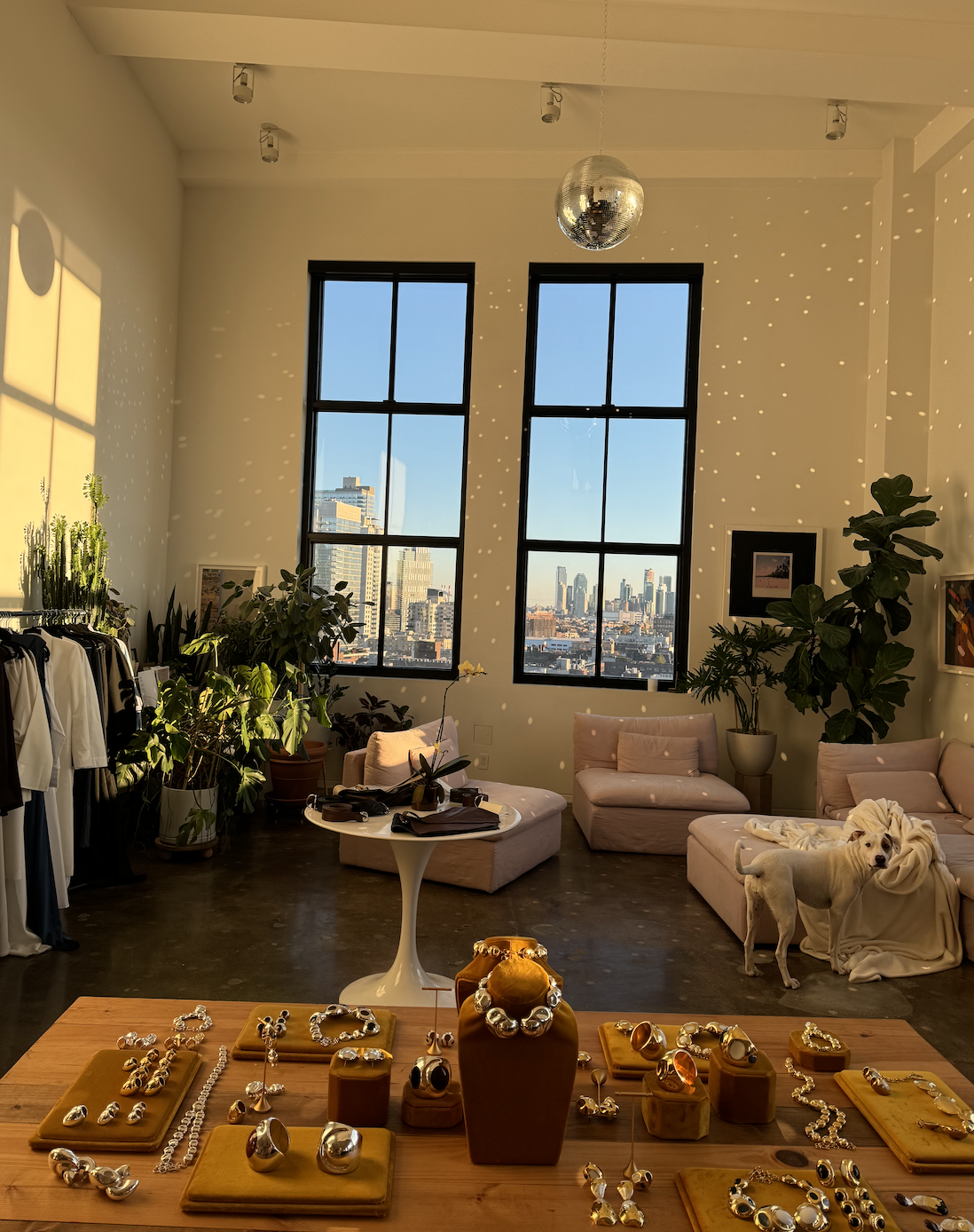 Screen Shot 2026-01-29 at 13.24.38.png