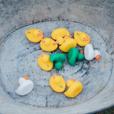 Hook a Duck.jpeg