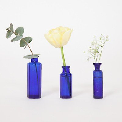 Small Dark Blue Vintage Bottles.jpeg