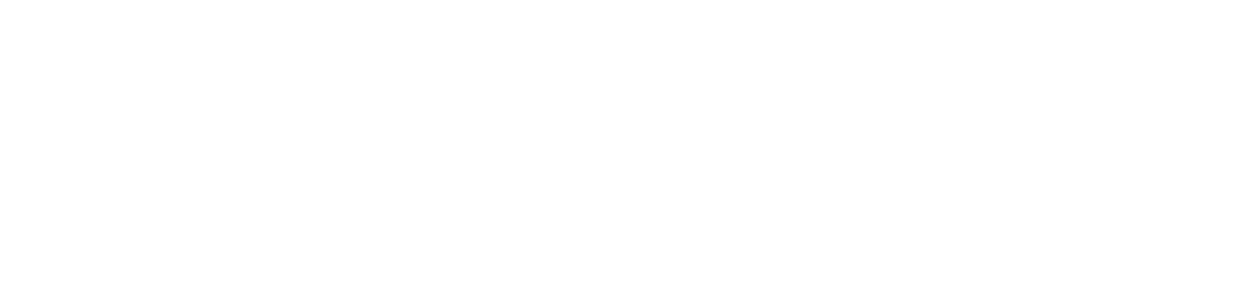 Campfire Endurance Coaching | Triathlon Coaching Portland Oregon Ironman 70.3 Olympic 