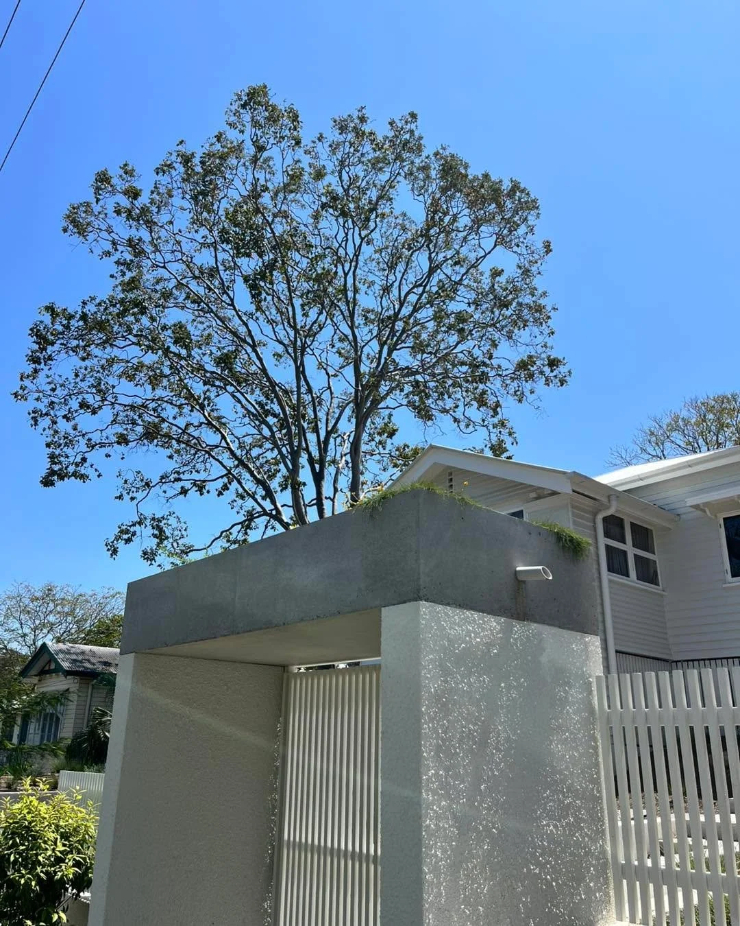 From formwork to final form. ✨ 
This entry feature is now complete &mdash; off-form concrete and textured finishes coming together for a bold first impression. Builder: @bespokeconstructions 
Architect: @timstewartarchitects 

#sticksandstonesconcret