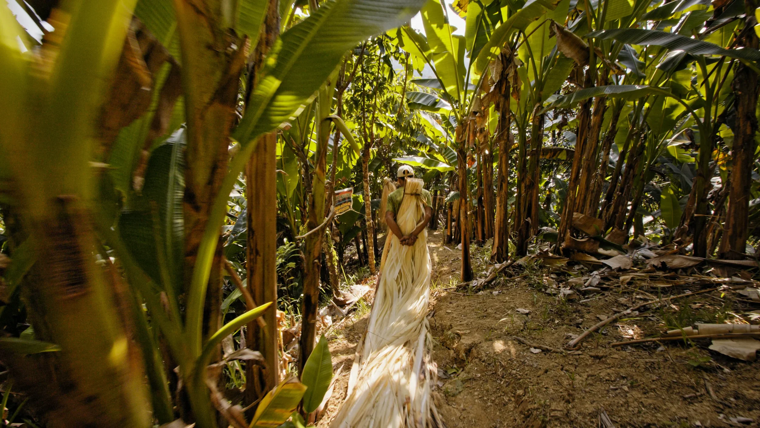 EP.24. The First Biodegradable Waterproof Fabric Made From Banana Plants. With Bananatex® x Qwstion