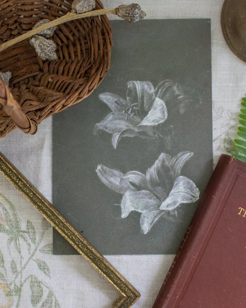 vintage botanical art