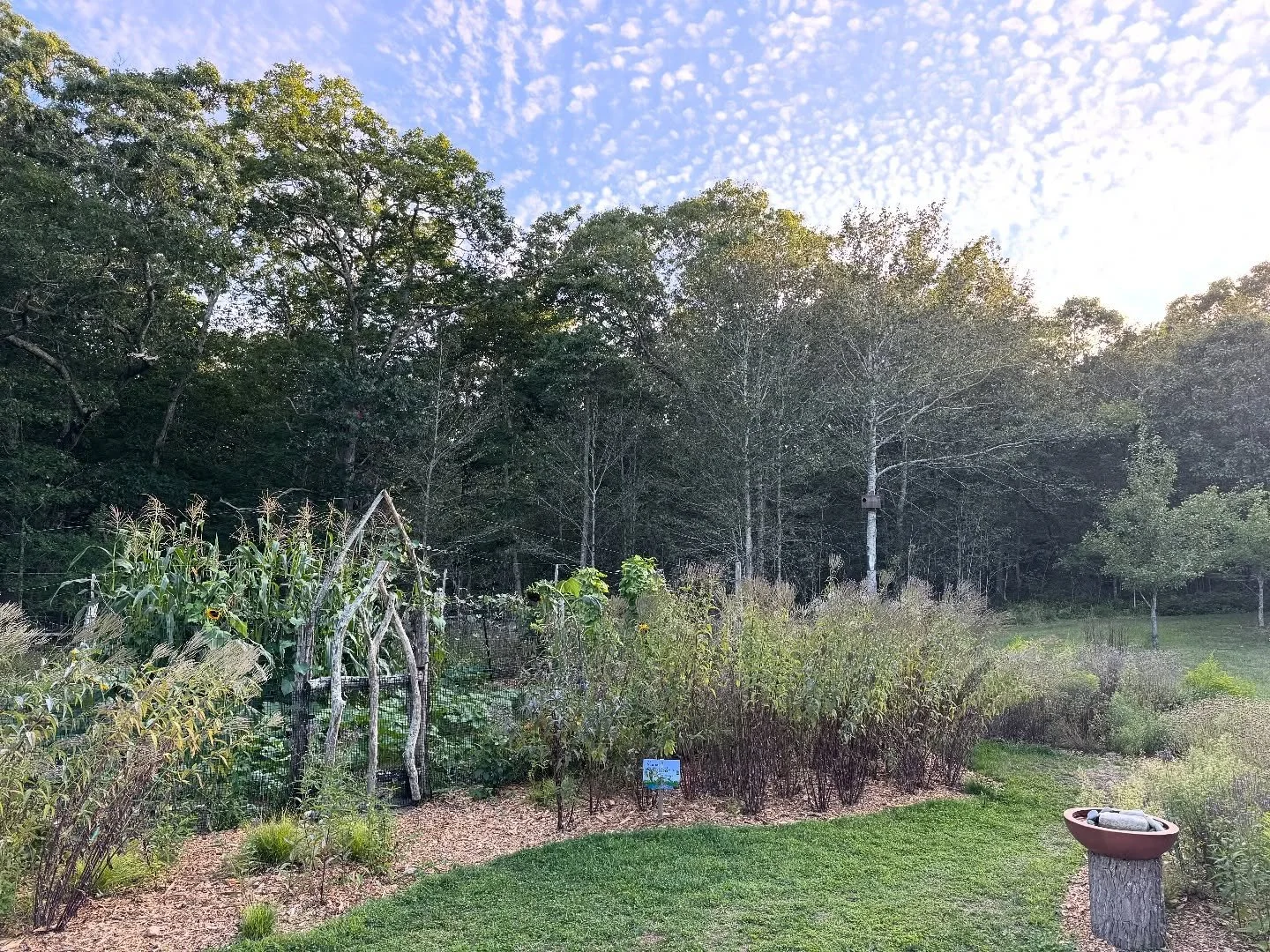 The sweet days of September—cool nights and warm days. As things slow down–we are also gearing up for the fall season. Keep visiting the programs page on our website (link in bio) as we are continually adding new offerings.