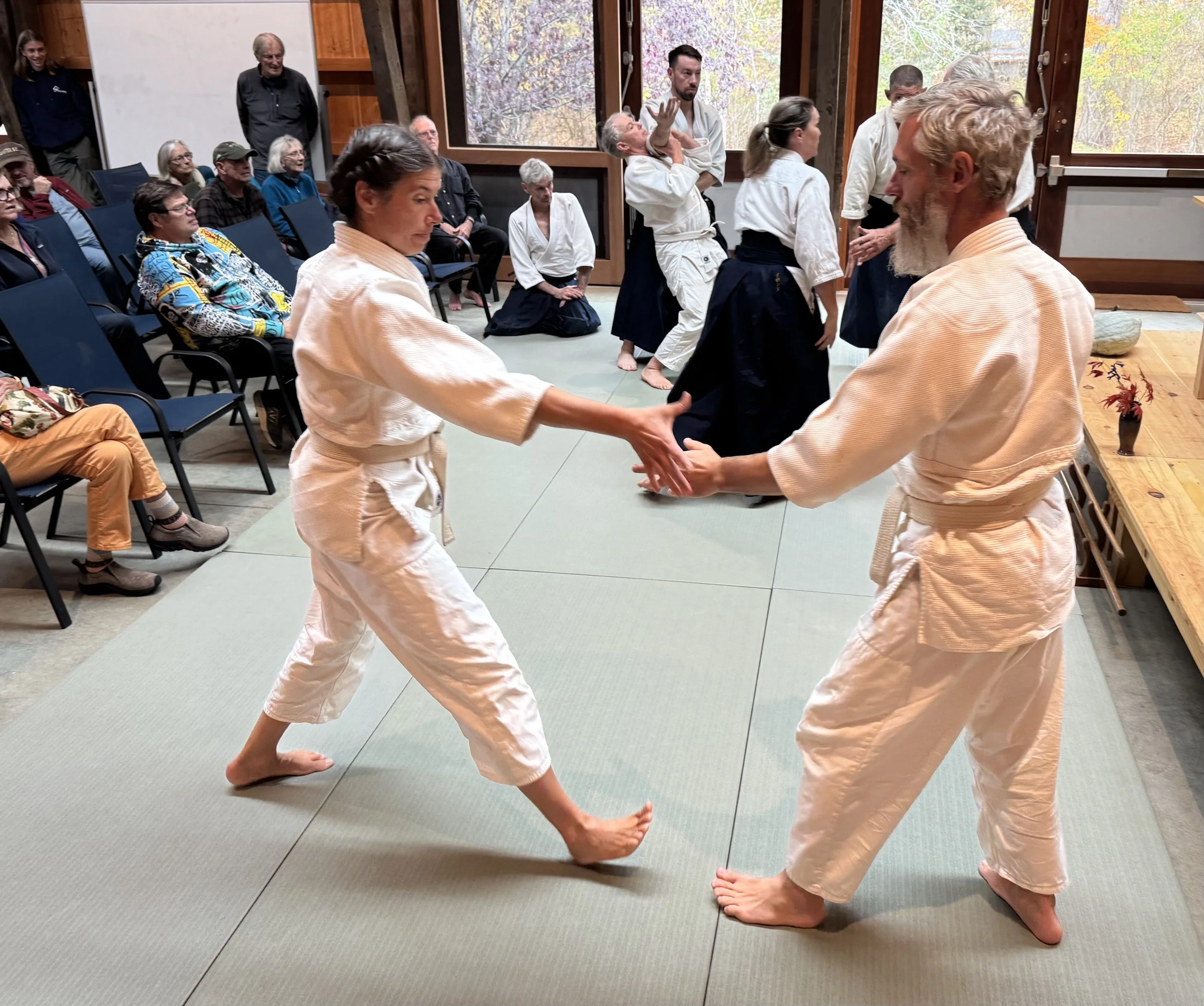 An aikido demonstration at the Japanese Arts and Culture Festival