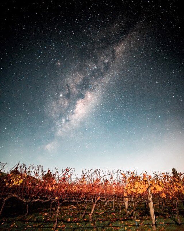 Space looks better from New Zealand .
.
.
.
#milkyway_nightscapes #newzealandpics #stargazer #artofvisuals #thegameoftones #sony #a7iii
