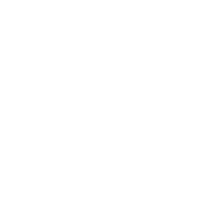 Icon of an arm flexing