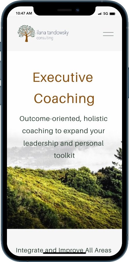 executive-coaching-mobile-ilana-tandowsky-consulting.jpeg