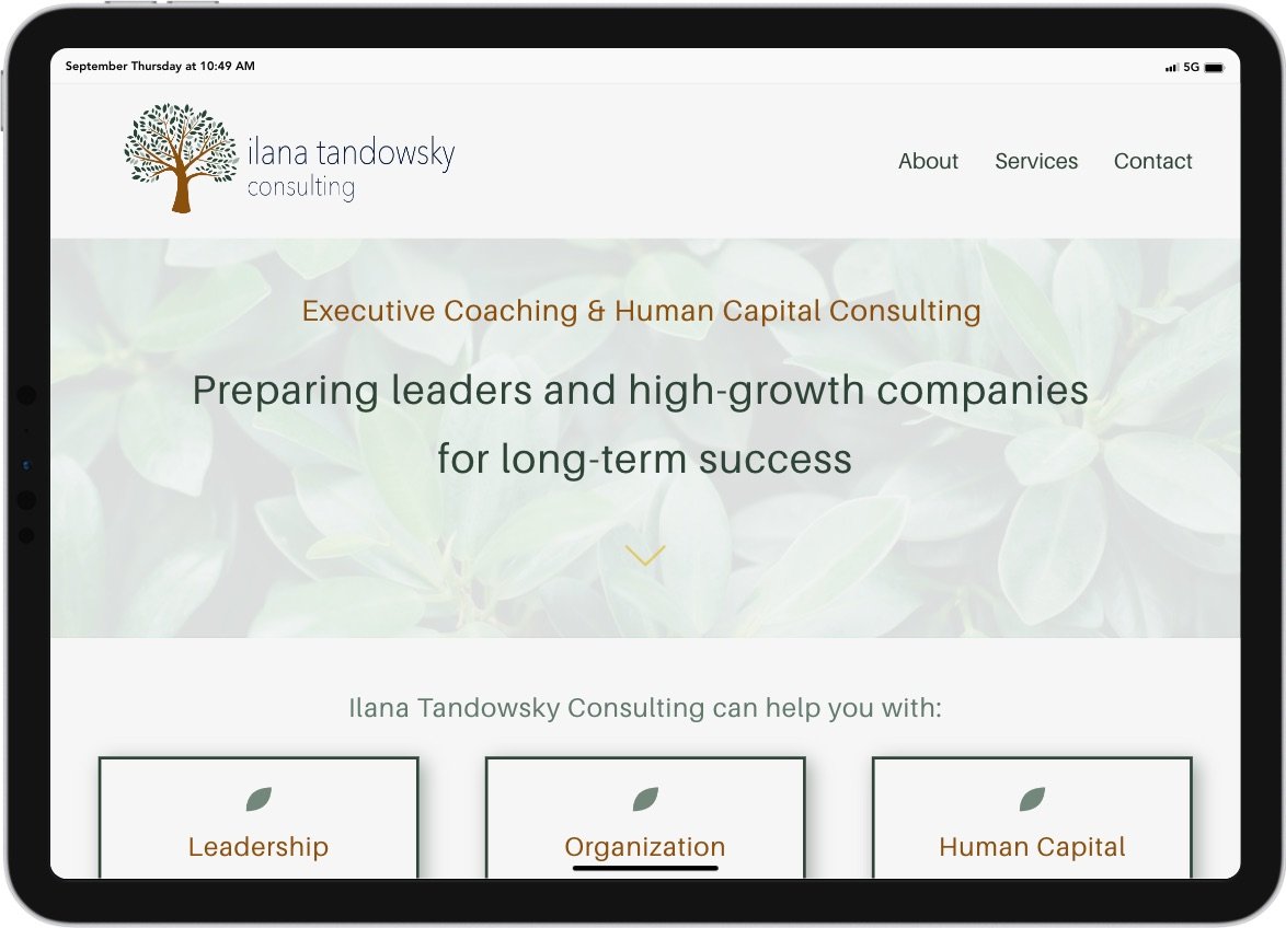 homepage-landscape-tablet-ilana-tandowsky-consulting.jpeg