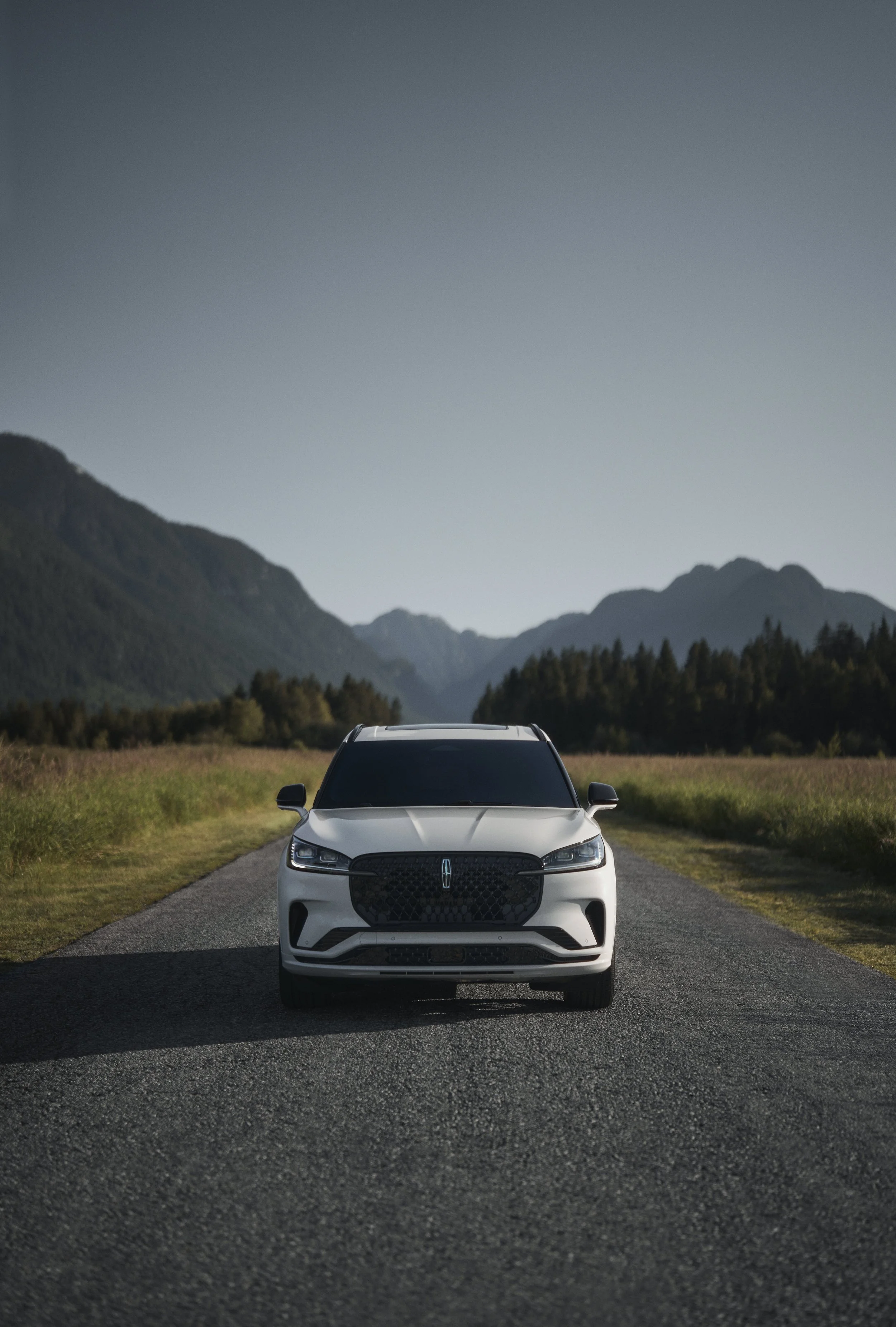 correct 25_LCN_AVI_65053.jpg