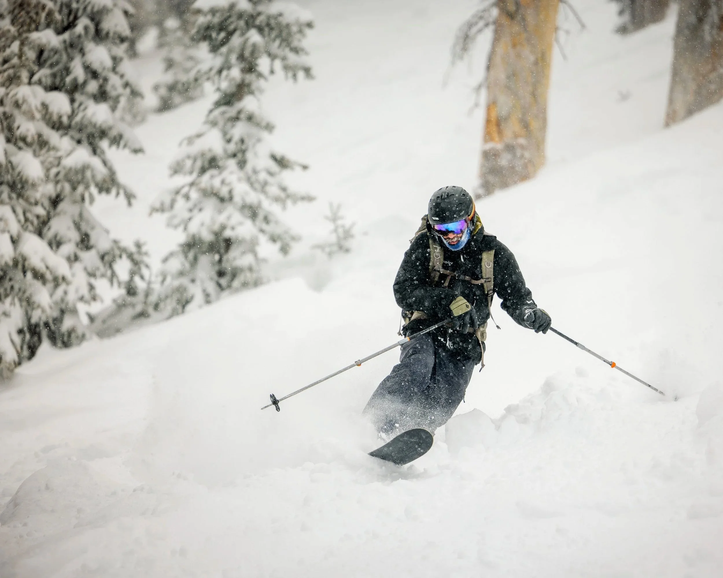 Skier in dark clothing carves through powder beside snow-covered trees.