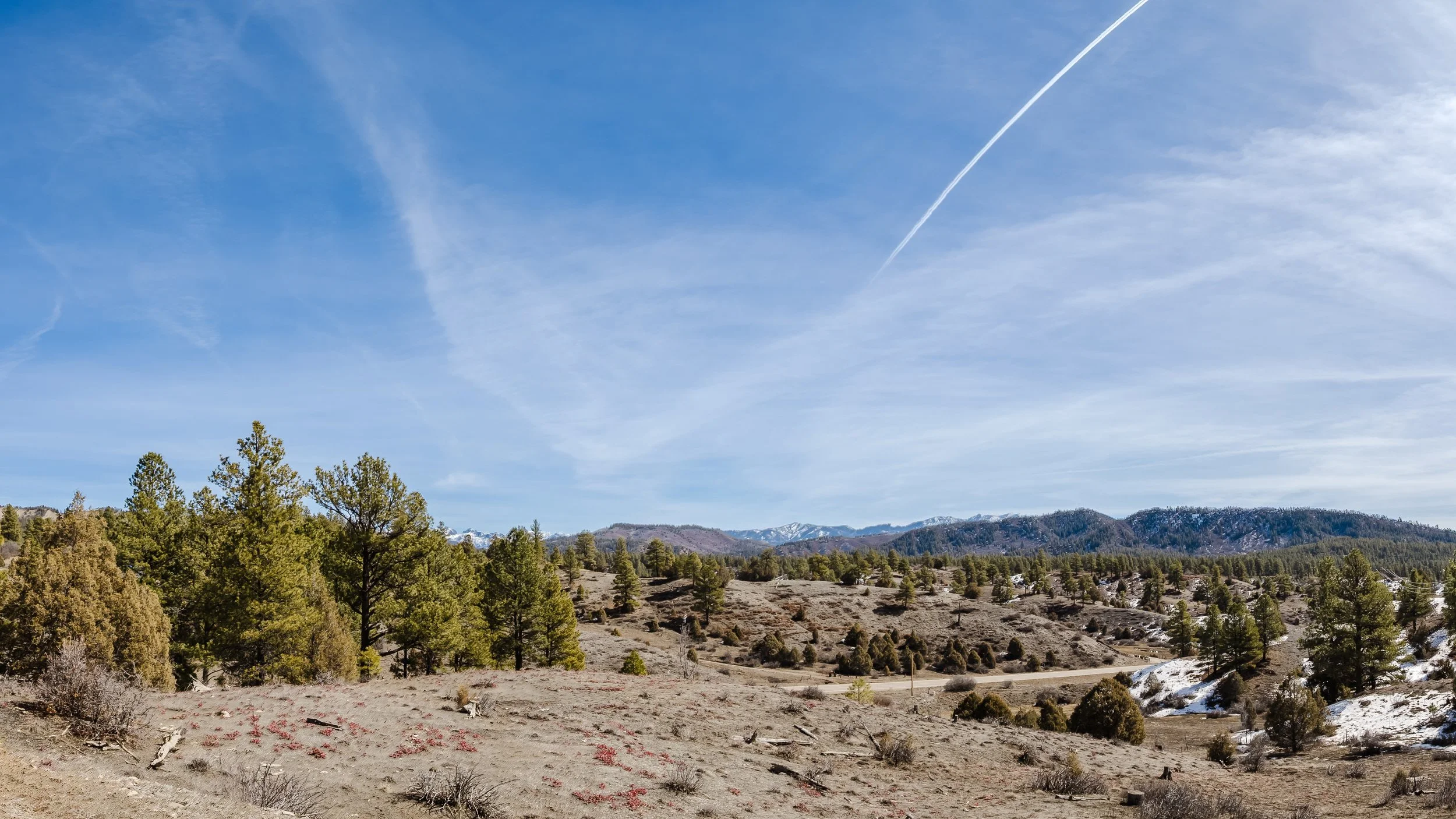 230 Kristina Ct-3.jpg