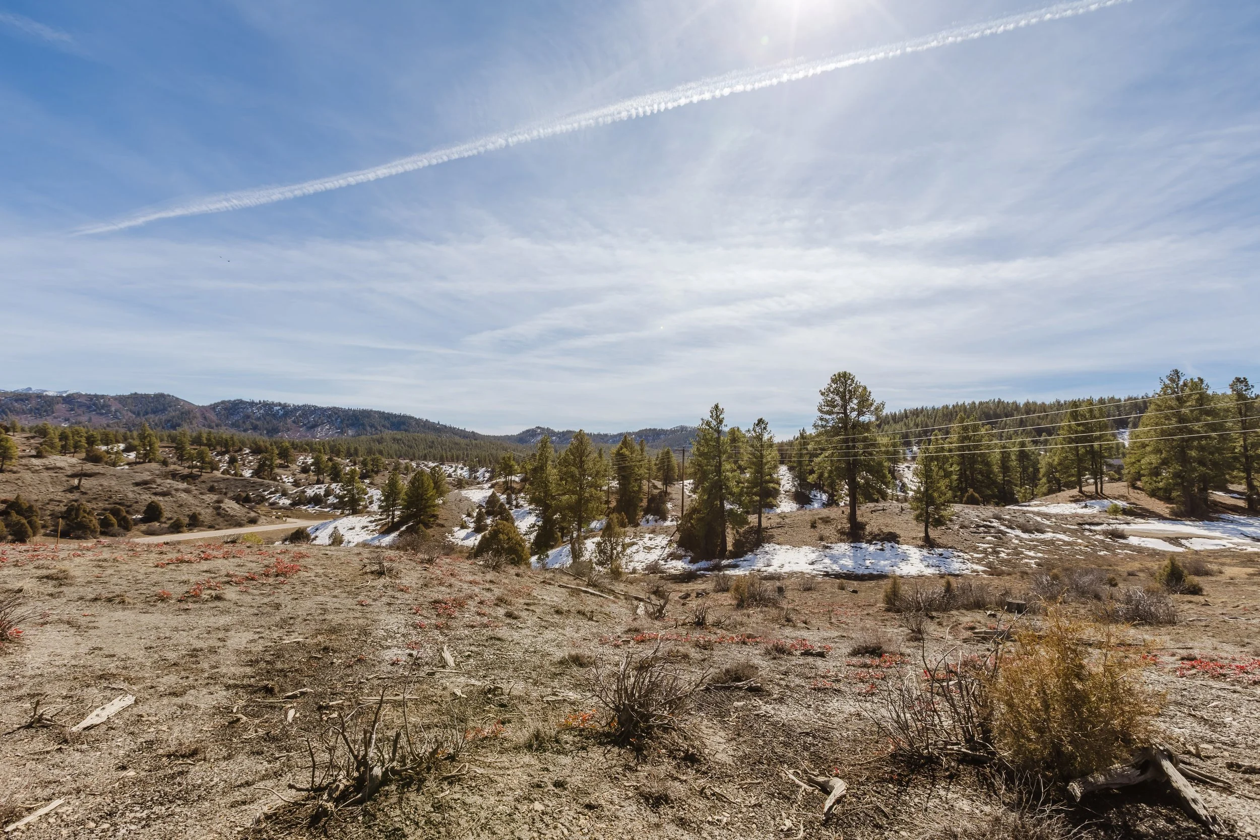 230 Kristina Ct-9.jpg