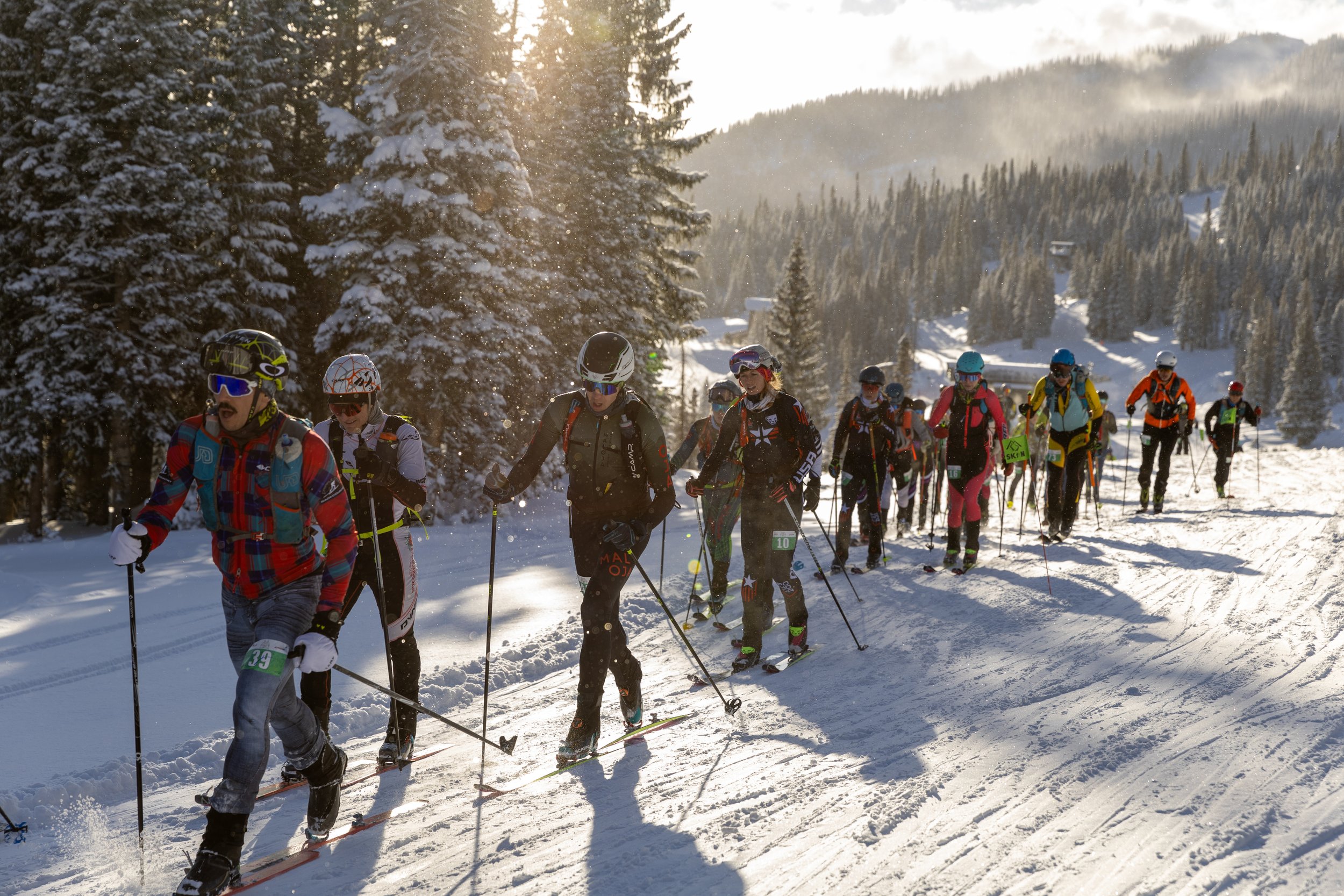 Ski mountaineering racers climb a snowy trail through the trees at sunset.